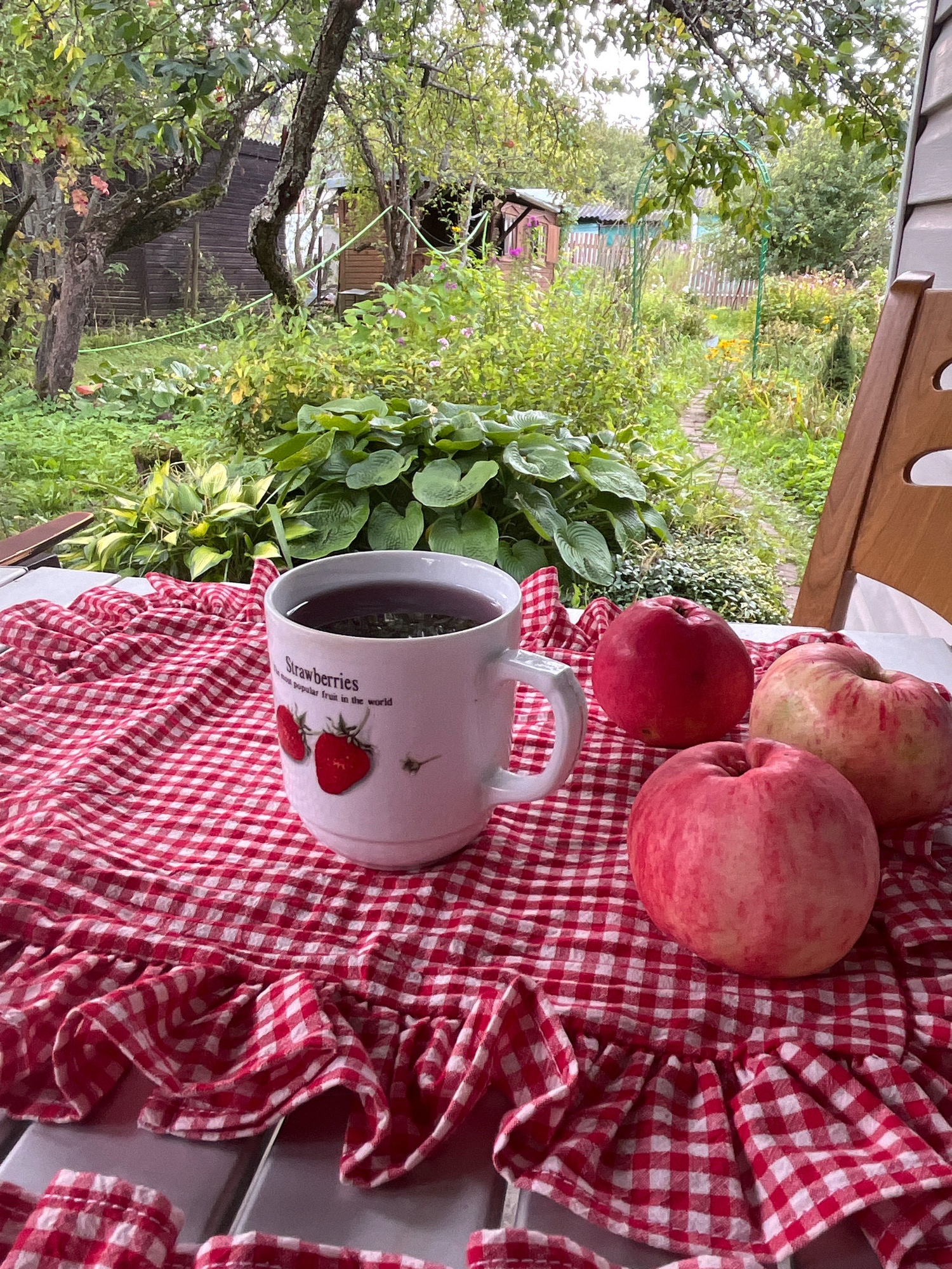 In the Russian city of Krasnaya Presnya SNT, an outdoor table is set with a mug of dark tea, three apples, and a red and white checkered tablecloth with ruffles. The mug features a strawberry illustration and the word "Strawberries." Behind the table, a lush green garden is visible, with trees, bushes, flowers, and a winding brick pathway leading to a wooden structure. The overall scene suggests a peaceful, rustic outdoor setting.