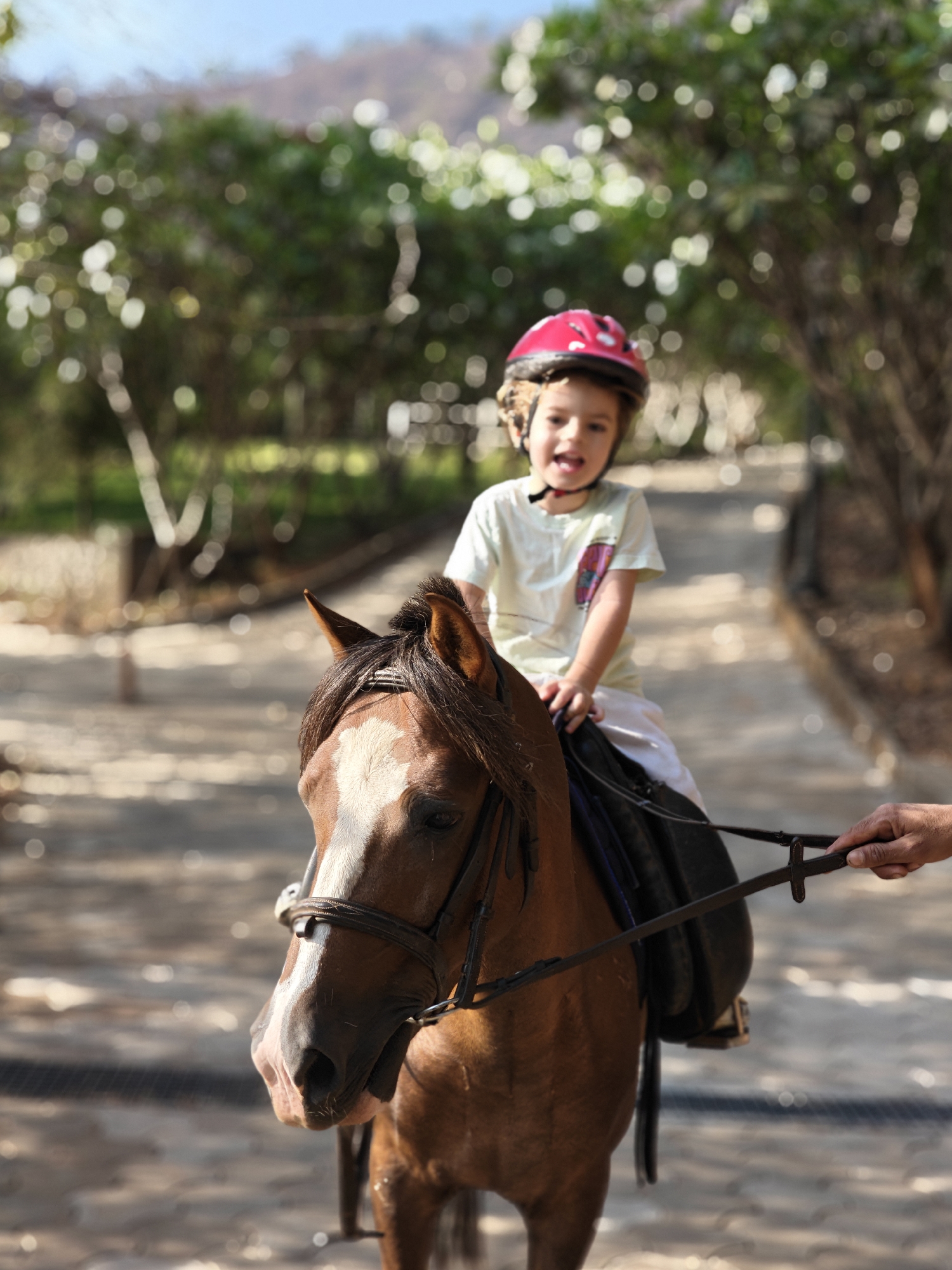 A medium shot captures a young child, wearing a pink helmet, riding a brown horse with a white blaze on its face. The horse is equipped with a bridle and saddle. The child is smiling and seems to be enjoying the ride. A hand is visible holding the reins, presumably guiding the horse. The background suggests an outdoor setting with blurred trees and foliage, possibly a park or trail. The location is in the city of Kalote Mokashi, India.