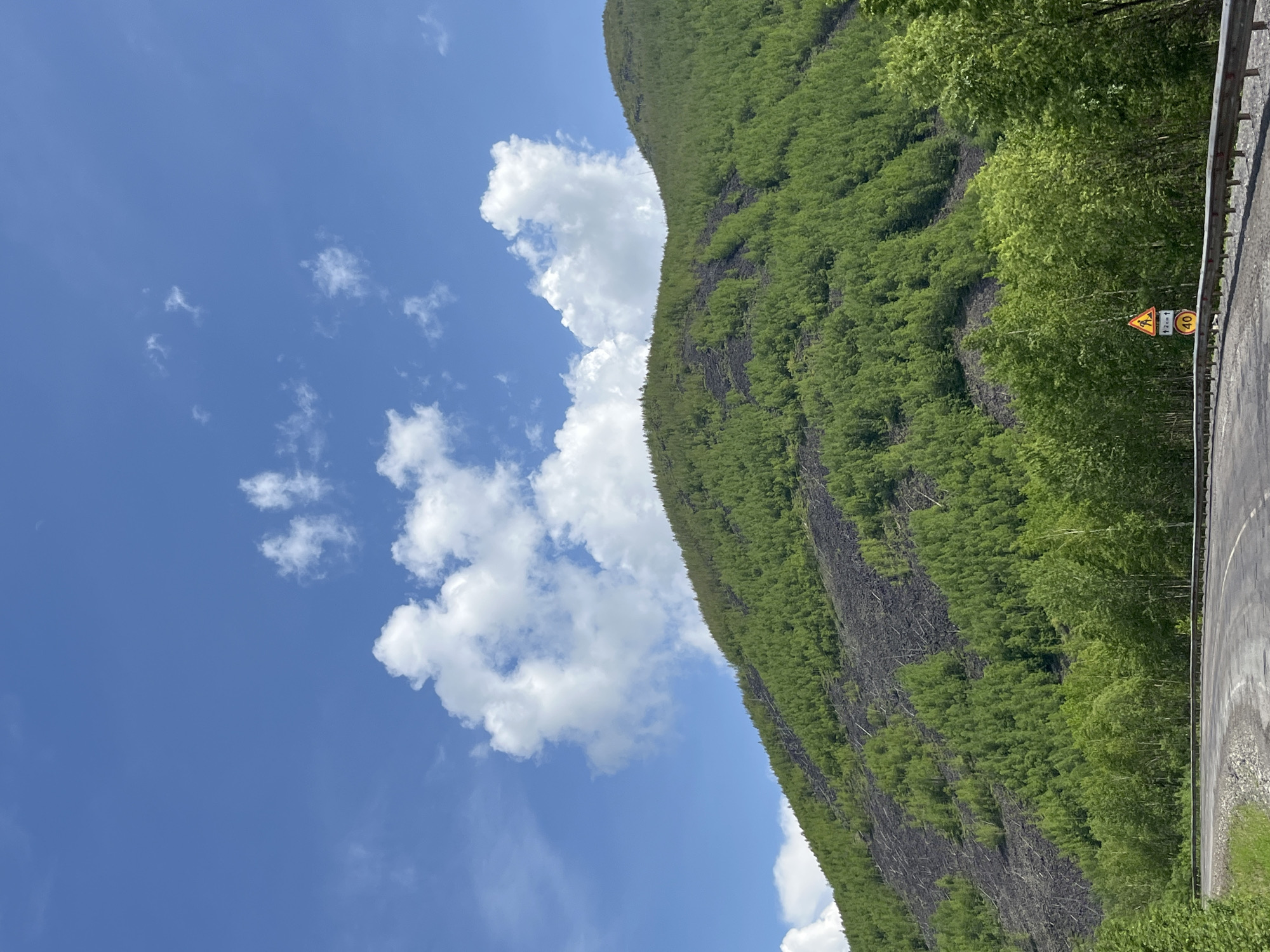 A winding asphalt road curves to the left in the foreground, bordered by a metal guardrail and green foliage. Beyond the road, a dense forest of vibrant green trees rises up a steep mountainside. The mountainside exhibits patches of dark, barren earth, possibly indicating past fires or erosion, interspersed with the greenery. The sky above is a clear, bright blue, dotted with scattered white cumulus clouds. A yellow triangular traffic sign with a pedestrian symbol and a yellow circular sign with "40" are visible on the right side of the road. The scene appears to be a natural landscape in a mountainous region, likely in Russia given the prompt's context.