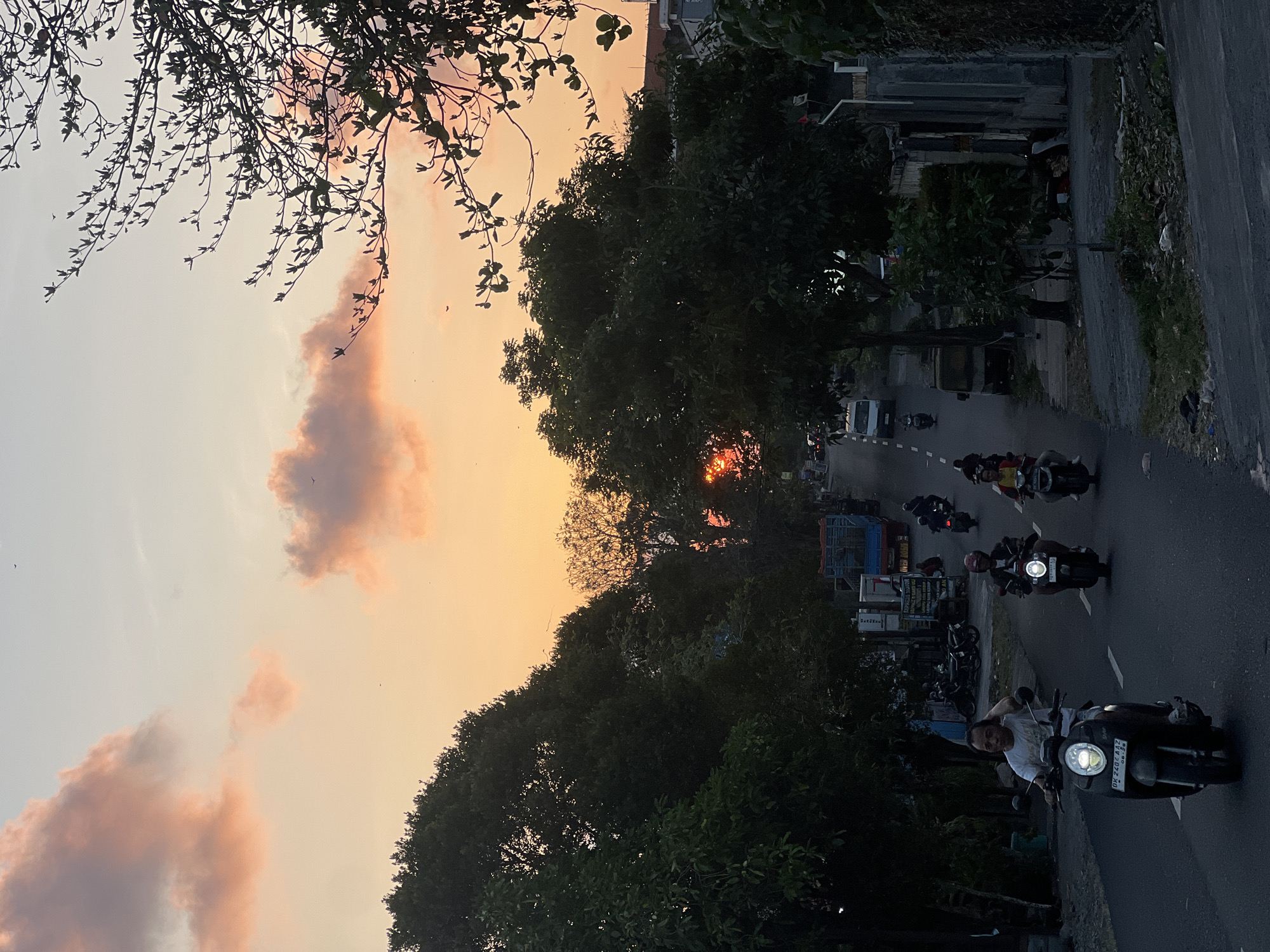 The image depicts a street scene in Denpasar, Indonesia, during sunset. The sky is a gradient of soft orange and pink hues, with scattered clouds. A few birds are visible in the sky. The road is lined with lush green trees, obscuring much of the background. Several people are riding motorbikes on the asphalt road, which has white lines marking the lanes. Some motorbikes have their headlights on, illuminating the road. A white van and a blue truck are also present on the road. Buildings and smaller trees are visible on the sides of the road, partially obscured by larger trees. The overall atmosphere is peaceful, with the warm glow of the sunset casting a soft light over the scene.