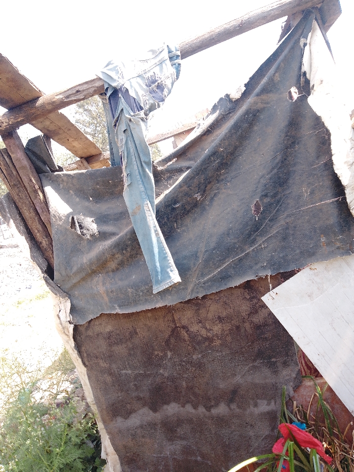 An outdoor scene in Nairobi, Kenya, features a dilapidated, makeshift structure. A pair of light blue denim trousers, torn and stained, is suspended over a horizontal wooden beam forming part of the structure's frame. A large, dark, tattered tarpaulin with multiple perforations and frayed edges is draped across the wooden supports, serving as a wall. Below the tarpaulin, a dark brown earthen or mud-plastered surface exhibits water staining. The lower right foreground includes green vegetation, a section of white material, and red fabric remnants. The scene is illuminated by strong sunlight; no individuals are present.