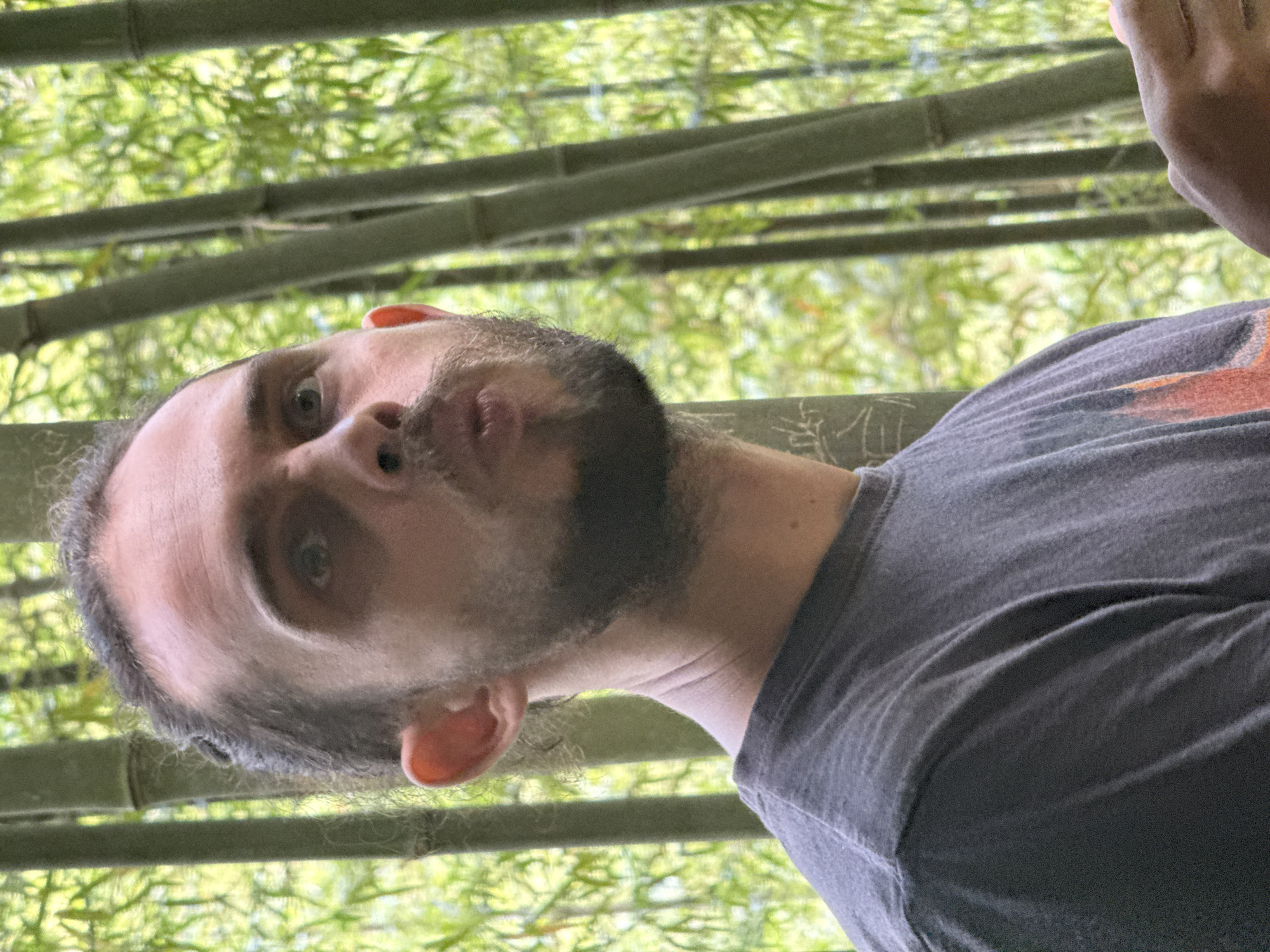 A medium shot depicts a bearded man, facing the camera with a slightly puckered expression. He is wearing a grey T-shirt. Behind him are green bamboo stalks. The setting appears to be Púng Luông, Vietnam.