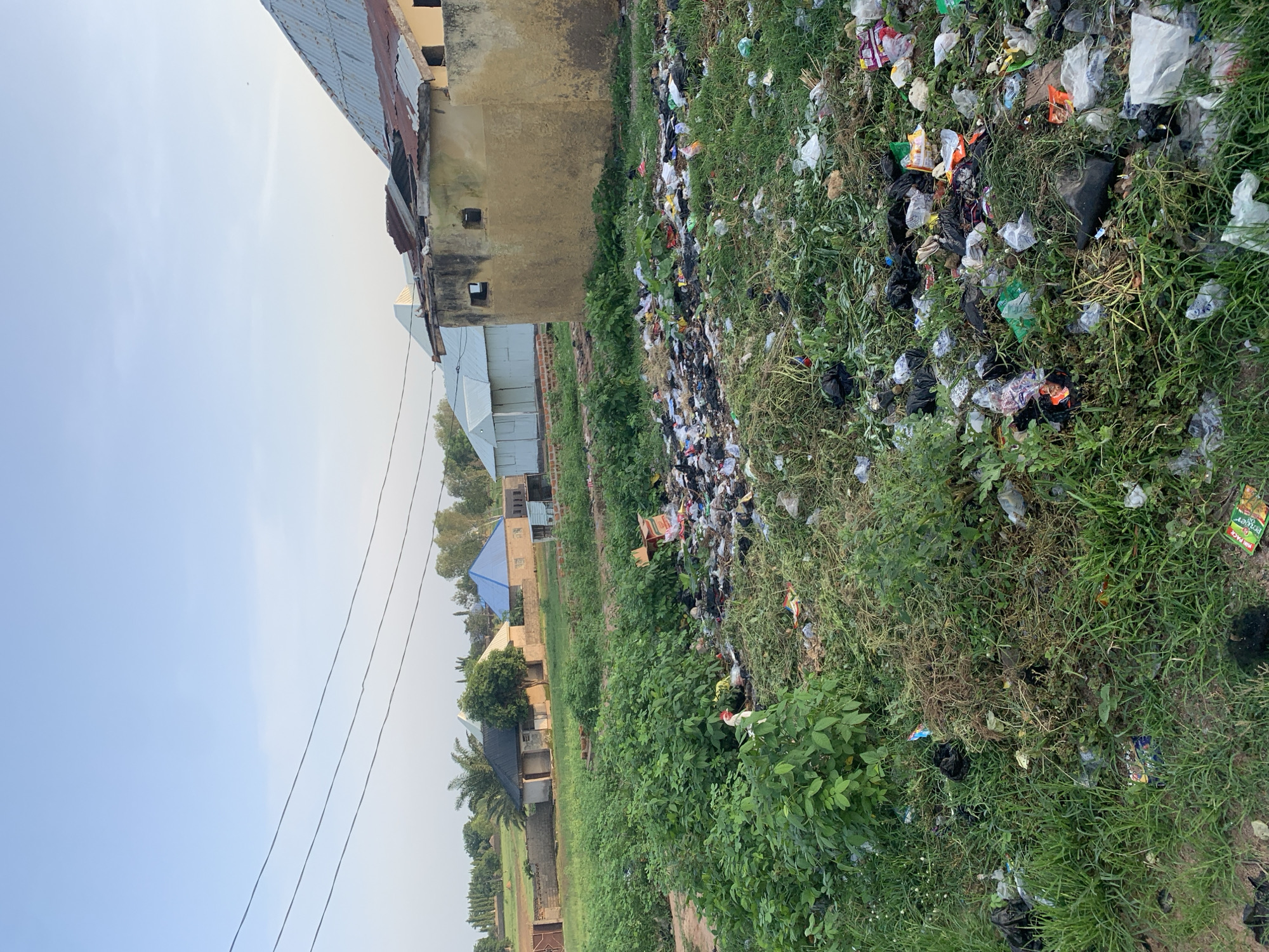 The image depicts an outdoor scene in Jalingo, Nigeria, characterized by a significant accumulation of refuse. In the foreground, a large pile of garbage, consisting of plastic bags, wrappers, and assorted debris, is scattered across a grassy area. Beyond the refuse, a dense growth of green vegetation can be observed. In the middle ground, several structures are visible, including buildings with corrugated metal roofs and what appear to be homes with light-colored walls and blue or dark-colored roofs. A partially constructed or dilapidated building with a yellowish facade and exposed beams is also present. The background shows more residential structures, trees, and vegetation, suggesting a semi-urban or residential environment. Overhead, electrical wires are strung across the frame against a clear sky with subtle cloud formations. There are no people or animals clearly visible within the scene, although a chicken might be present near the vegetation in the middle ground. The overall impression is one of neglect and environmental disorder due to the presence of widespread litter.