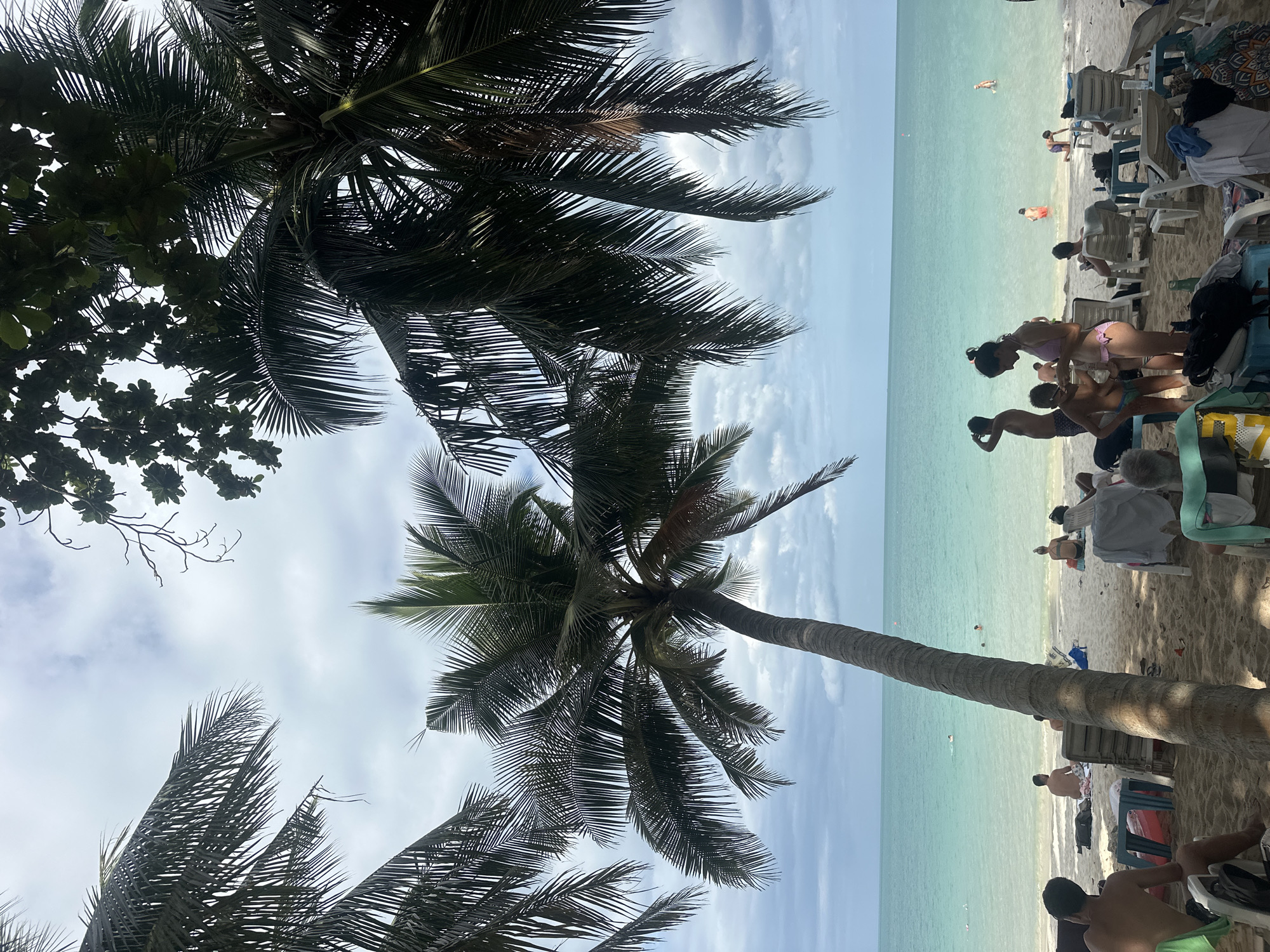 This image depicts a tropical beach scene in the Ko Samui District of Thailand. In the foreground, several individuals are relaxing on lounge chairs under the shade of palm trees. The sand is light-colored, and the ocean is a clear turquoise color, with several people swimming or wading in the water further out. Palm trees with fronds arching over the beach and the water dominate the upper portion of the image, contributing to the serene, vacation atmosphere. The sky is partly cloudy with a mix of sun and shade.