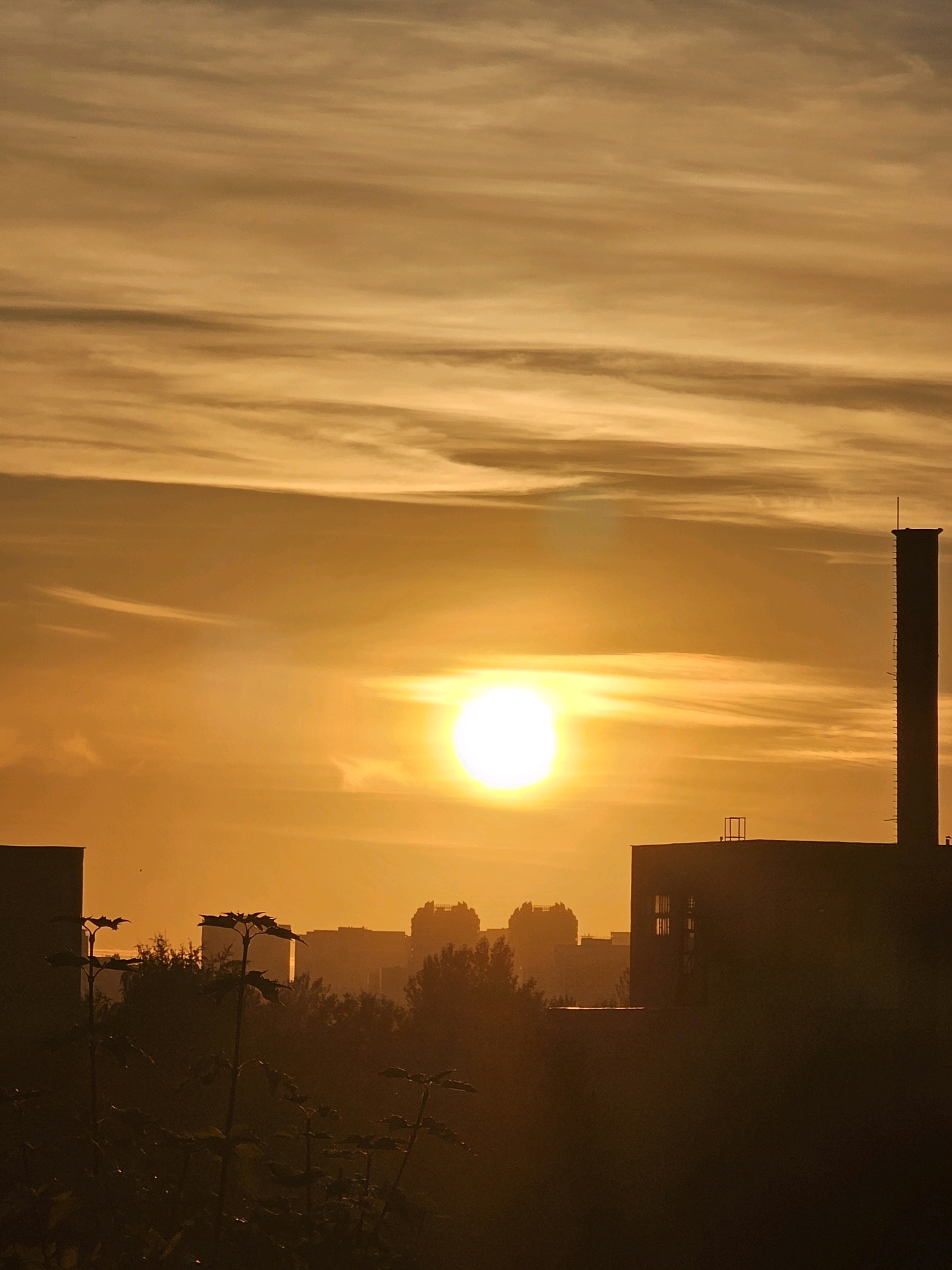 The image depicts a sunset over the city of Khimki, Russia, with the sun prominently visible as a bright, glowing orb. The sky is filled with wispy clouds that are illuminated by the warm, orange light of the setting sun. In the foreground, silhouetted against the vibrant sky, are the dark outlines of buildings, trees, and what appear to be sunflowers. A tall industrial chimney stands out on the right side of the frame, a stark vertical element against the horizontal expanse of the sky and cityscape. The overall impression is one of a dramatic and serene urban sunset.