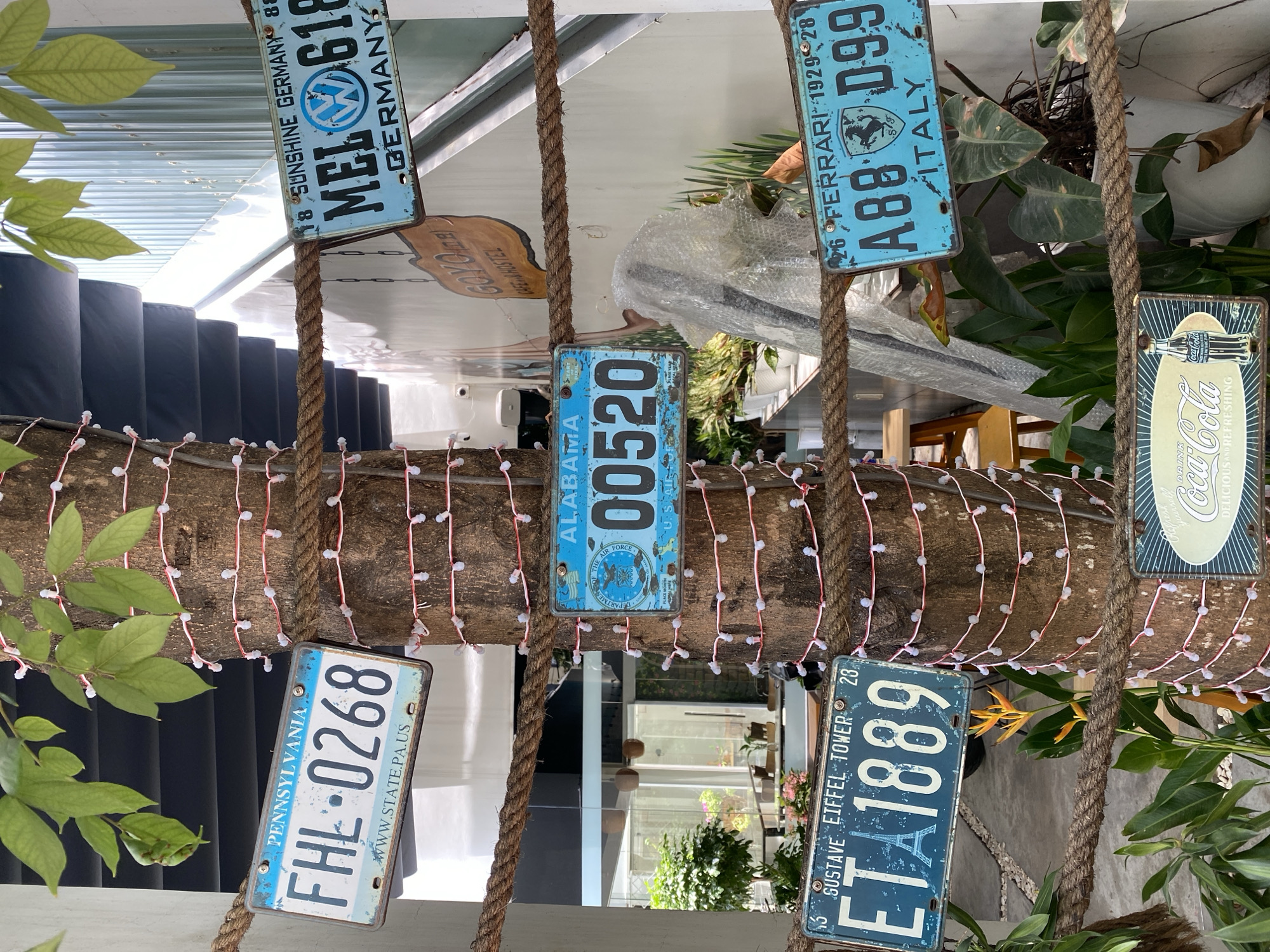The image depicts an outdoor setting, likely a cafe or restaurant, in Đà Nẵng, Vietnam. A tree trunk adorned with white string lights wrapped in red ribbon serves as a central focus. Several decorative license plates are attached to the tree and suspended by thick rope. These include plates from Pennsylvania, Germany (featuring a Volkswagen logo), Alabama (with "US AIR FORCE" text), and Italy (with "FERRARI" and a horse emblem). There is also a sign that reads "Goyō CAFE & HOSTEL". In the foreground, lush green plants and a vibrant orange flower are visible. In the background, a staircase and part of a building structure are present. The overall ambiance suggests a casual, eclectic outdoor space decorated with vintage-themed memorabilia.