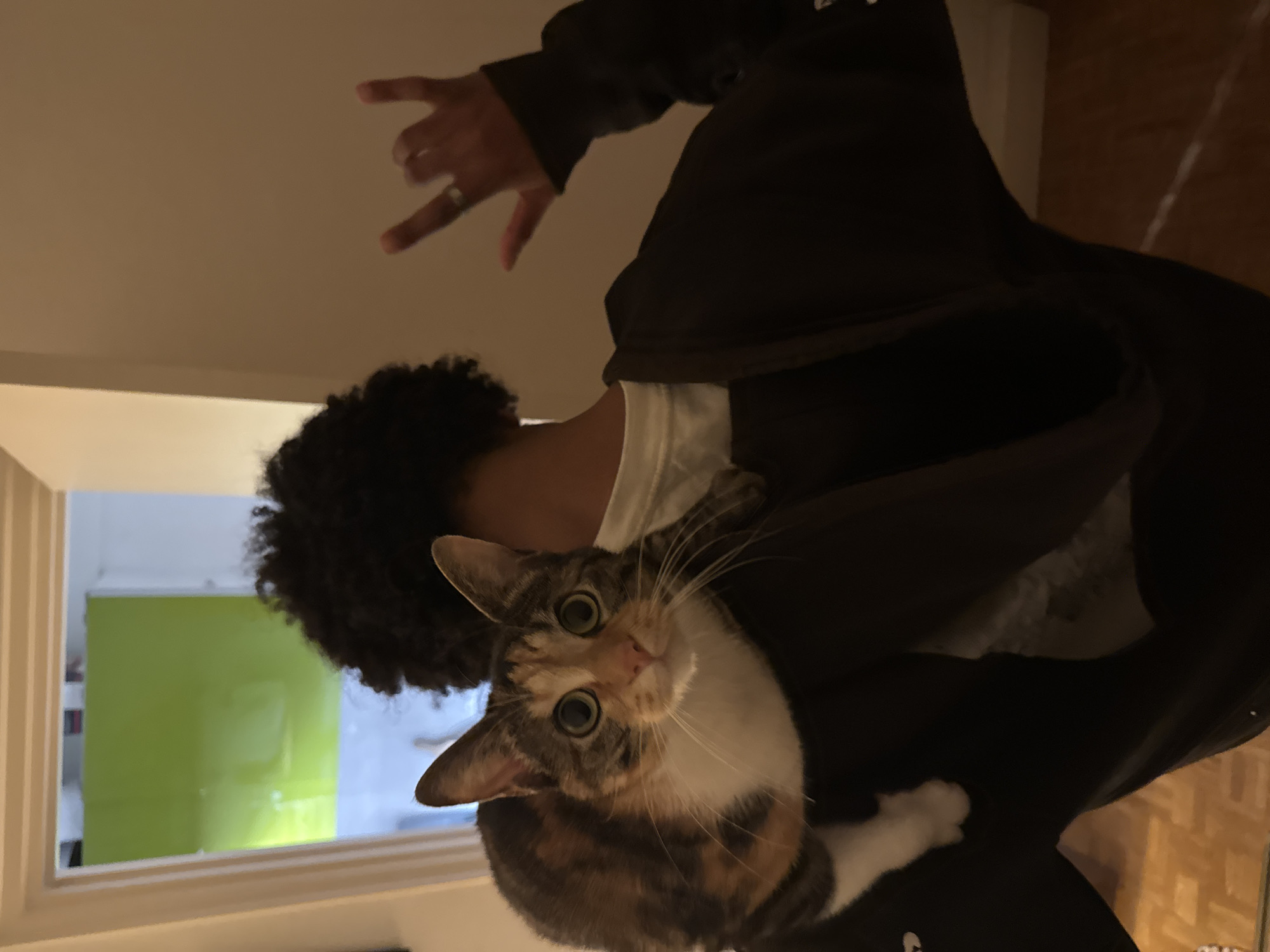 An individual, viewed from the back, is positioned centrally within an indoor setting in Paris, France. The person has dark, curly hair and wears a dark-colored hooded jacket over a white undershirt. A calico cat, exhibiting white, brown, and black patches, is perched on the individual's left shoulder, facing the viewer directly. The cat's pupils are dilated, and its prominent green eyes are fixed forward. The individual's right hand is raised, forming a "rock on" gesture with the index and pinky fingers extended; a silver ring is visible on the ring finger. In the background, an open doorway on the left reveals a bright, solid lime-green surface beyond, possibly a wall or partition, with a lighter area below. To the right, a plain, light-colored wall is visible. The lower left portion of the image shows a segment of a light brown wooden parquet floor, consistent with a typical Parisian apartment interior.
