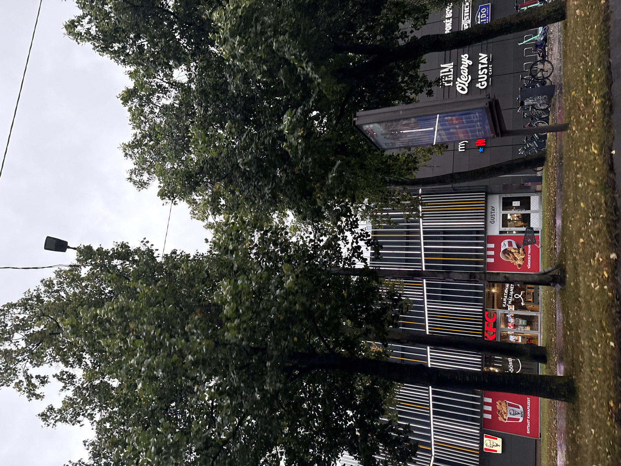 In Tallinn, Estonia, a street view captures a modern building with a dark facade featuring vertical white and yellow lights. In front of the building, large trees with dense green foliage partially obscure the view. The lower section of the building houses several establishments. To the left, a KFC restaurant is visible with its red branding and advertisements for chicken. To the right, signage indicates "myH" followed by "TELL O'Learys" and "GUSTAV CAFE". A public parking area for bicycles and scooters is located in front of these establishments, with several bikes and scooters parked. The ground is wet, suggesting recent rain, and fallen leaves are scattered on the grass and pavement. The sky is overcast.