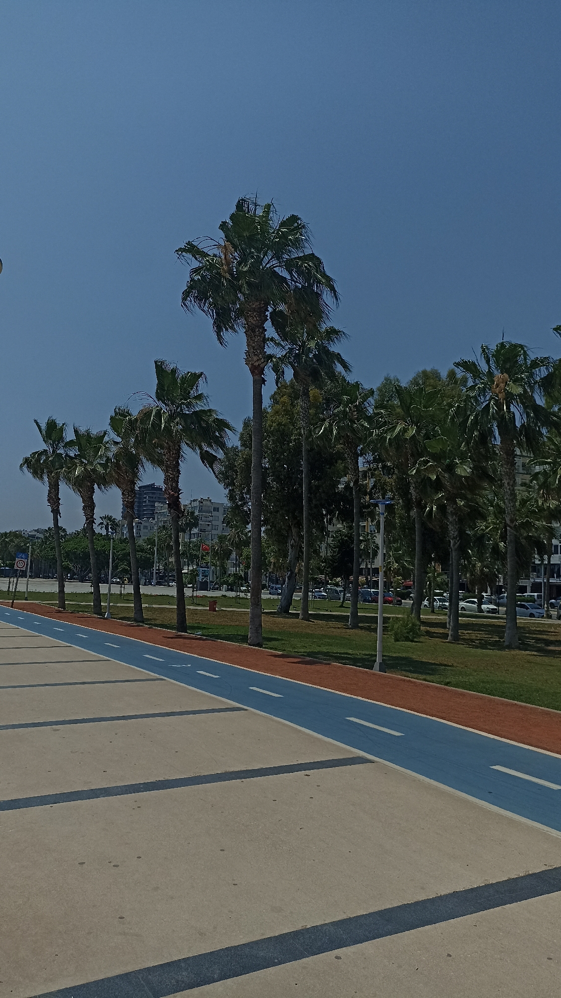 The image depicts a bright, sunny daytime scene of a modern promenade or park area, likely in an urban setting. In the foreground, a wide, light-colored paved surface extends into the distance, featuring dark grey dividing lines. Alongside this, a dedicated recreational path is visible, divided into two distinct sections: a vibrant blue lane marked with white dashed lines, suggestive of a bicycle path, and an adjacent reddish-brown lane, possibly for running or walking.
A prominent row of tall palm trees with green fronds lines the right side of the paths, stretching into the background. Interspersed among the palm trees are other green trees, creating a lush boundary between the recreational area and the urban landscape. Beyond the trees, various multi-story buildings, characteristic of a city, are discernible. A road with parked and moving cars can also be seen behind the tree line.
The sky is clear and uniformly blue, indicating good weather and likely mid-day sun. No people or specific activities are depicted, but the well-maintained paths and green spaces suggest a public area designed for outdoor leisure and movement. On the far left, a small, partially obscured round sign with the number "10" is faintly visible. The scene evokes a sense of calm and order in an urban environment, consistent with a modern city like Yenişehir, Turkey.