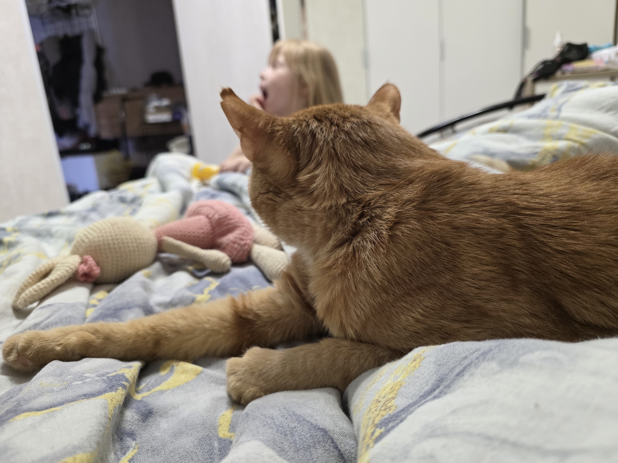 A domestic scene is visible on what appears to be a bed covered with a patterned blue and white duvet. In the foreground, a ginger cat is lying down with its front paw extended. Next to the cat, there is a knitted rabbit doll with beige and pink parts. Slightly blurred in the background is a young girl with blonde hair, seemingly yawning or shouting. Ajar door leads to what may be a closet. The city or country is not evident in the image.
