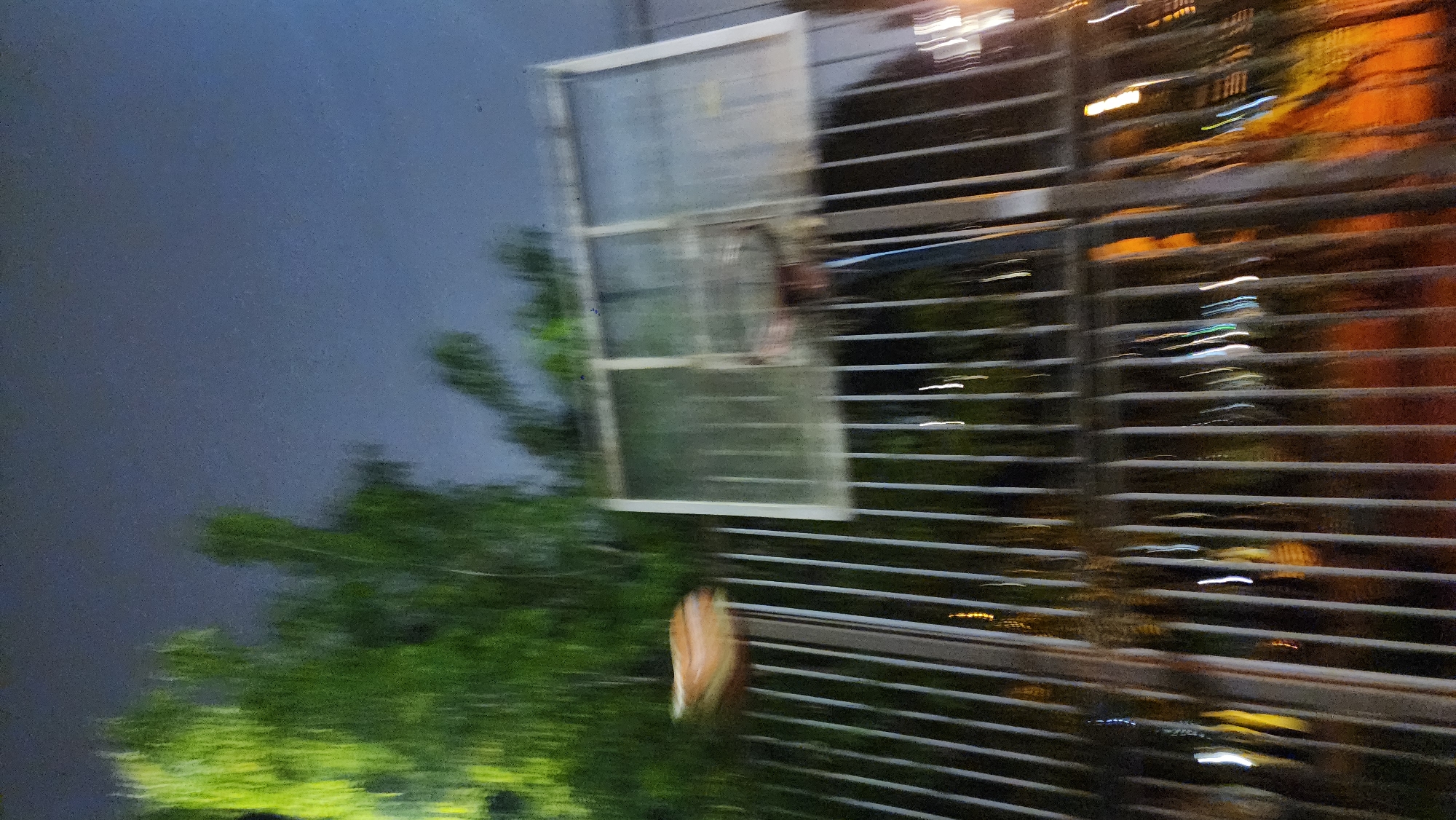 The image is blurry and appears to be taken from a moving vehicle at night. A building with horizontal metal blinds dominates the right side of the frame. A window with a white frame is visible to the left of the blinds. Outside the window, a tree with green leaves is visible against a dark blue sky. The overall scene suggests an urban environment. It is not possible to determine the location in Moscow, Russia, from the image. No people, actions, or interactions are discernible.