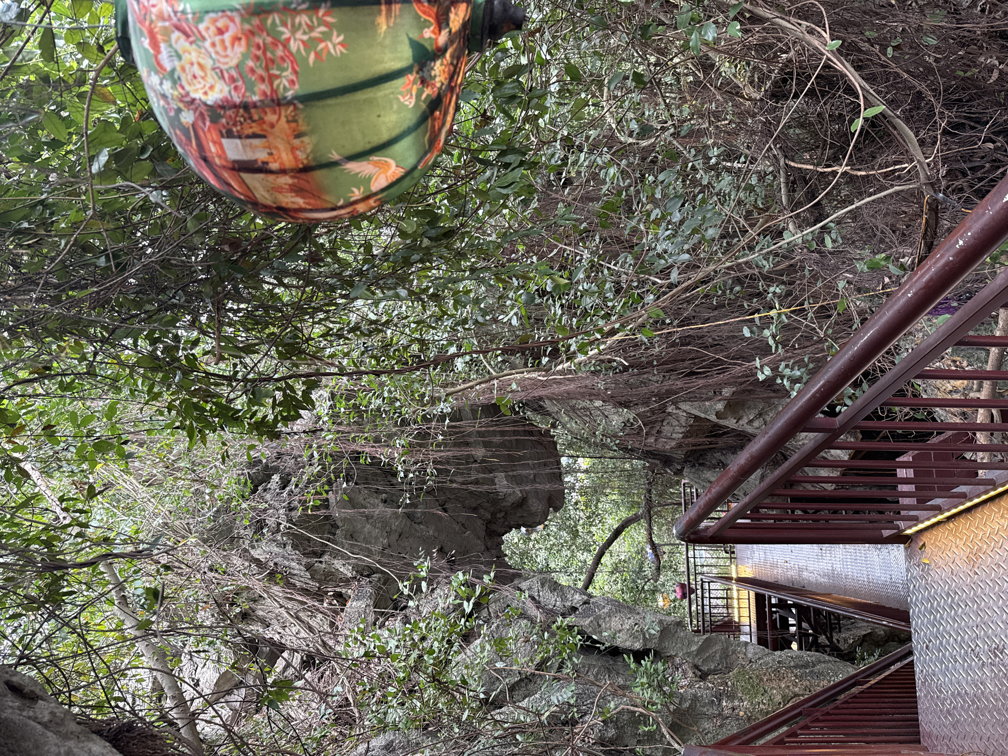 From an elevated perspective, the image depicts a section of the Tam Cốc-Bích Động area, specifically within Hoa Lư Ward, Vietnam. A decorative green lantern with floral designs hangs in the upper-left corner. The scene features a steep descent into a rocky, tree-filled ravine. Stairs with metal treads and brown railings dominate the right side of the image, descending into the foliage-covered area. The environment includes a cave entrance, visible through the dense greenery. The lighting suggests daytime conditions.