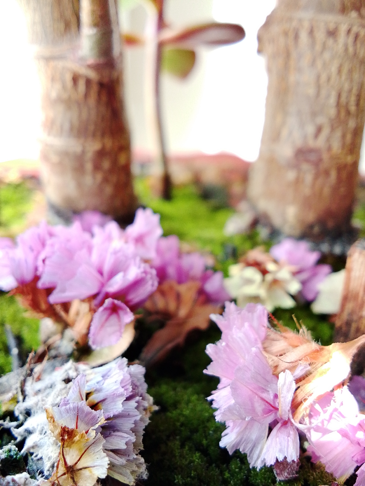 The image shows a close-up of a miniature landscape arrangement. In the background are two blurred, cylindrical objects that resemble tree trunks. In the foreground, there are clumps of small, light purple flowers with dried, brownish stems. The flowers sit on a surface covered in bright green moss. There's also a piece of what appears to be decaying wood with remnants of a white, fuzzy substance near the flowers on the lower left. The setting and details do not provide any forensic information about the city of 1-Go Maya, Russia.