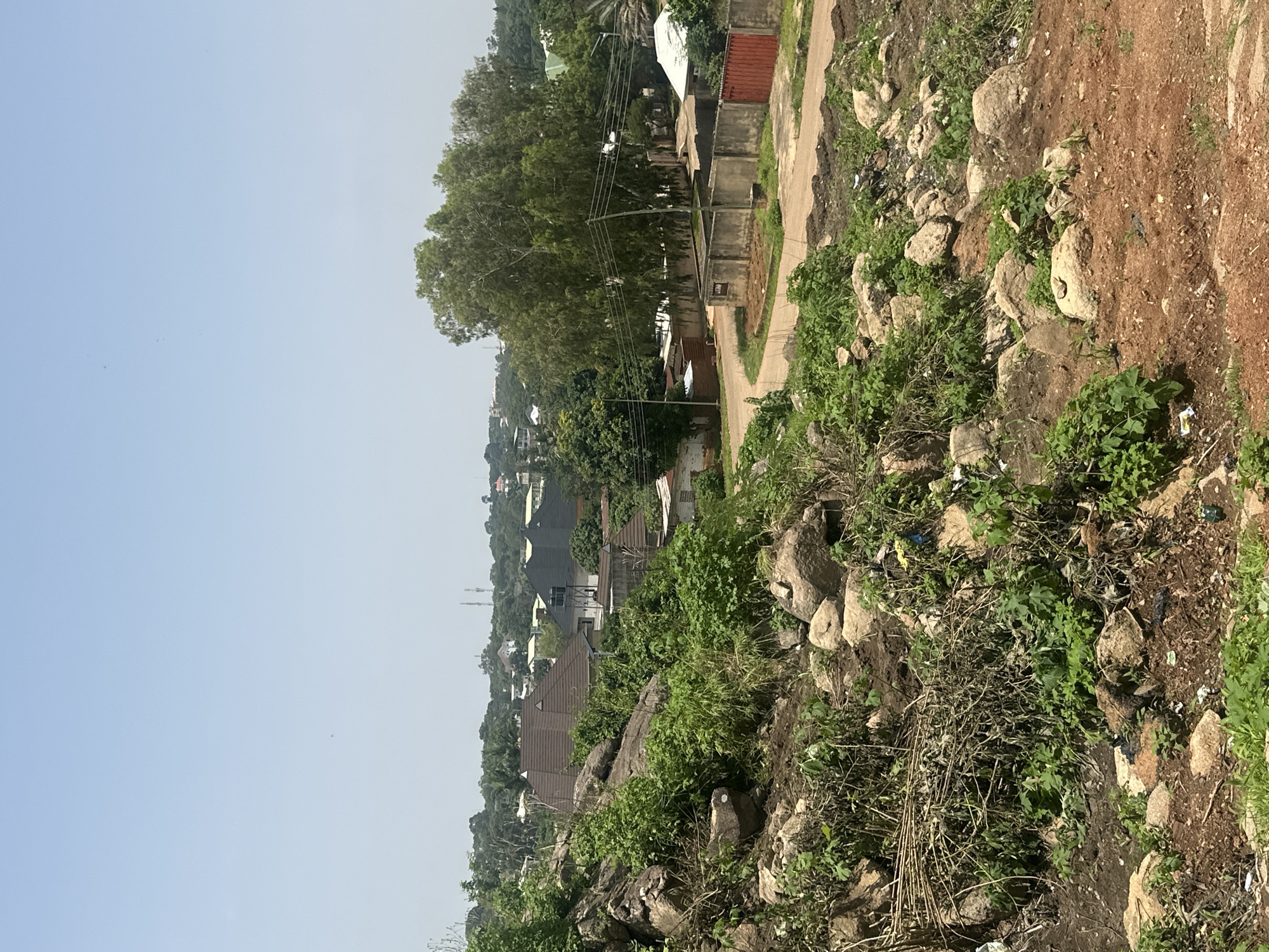 This is an exterior, eye-level, vertical shot of a rocky, overgrown hillside overlooking a residential area in Jos, Nigeria. The foreground is dominated by a rocky slope covered in thick green vegetation, with scattered dried branches and some litter. In the mid-ground, a dirt road curves through a neighborhood with several single-story and two-story buildings. Some of the houses have corrugated metal roofs, while others have tiled roofs. There are trees scattered throughout the area, with a large tree with dense foliage standing prominently near the road. A concrete wall with a red metal gate is visible on the right side of the road. The background consists of more residential buildings and dense green vegetation extending into the distance. The sky is clear and bright blue. There are no people or animals visible in the image. The scene depicts a somewhat undeveloped residential area with natural terrain.