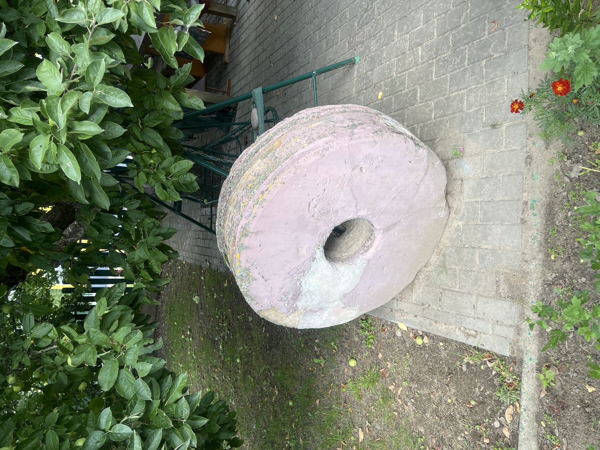 In Zhaludok, Belarus, an outdoor scene unfolds beneath a leafy apple tree. A large, pinkish-gray, circular millstone, approximately one meter in diameter with a central hole, rests on a paved walkway. Its surface shows signs of wear and is partially covered in patches of light-colored material and yellow lichen. Scattered green apples lie on the grassy area to the left of the millstone. In the background, a green metal swing set is visible, and behind it, a white and green striped wooden fence. A small cluster of red and yellow flowers grows in the foreground on the right. The environment appears to be a garden or park area, with trees, grass, and paving stones suggesting a well-maintained outdoor space. No people are present in the frame.