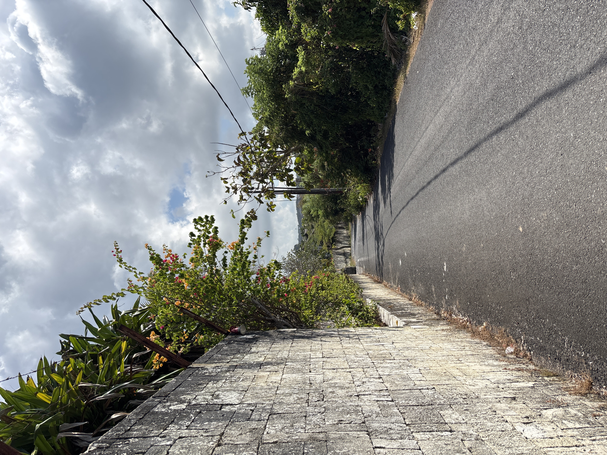 The image, taken with a vertical orientation and rotated 90 degrees clockwise, captures a serene, paved road scene in what appears to be a tropical or subtropical environment, consistent with Kuta Selatan, Indonesia.
In the foreground, a low wall constructed from rectangular, light-colored stone pavers stretches horizontally across the lower third of the frame. Behind this wall, lush green foliage dominates, featuring various bushes and plants, including vibrant flowering bushes adorned with red, pink, and orange blossoms. A discarded red and white can is visible resting on the stone wall.
Beyond the wall, an asphalt road, slightly curving to the right, extends into the distance. A long, thin shadow, likely from an overhead utility wire or pole, stretches across the road's surface. Along the right side of the road, dense green trees and vegetation form a thick border. A utility pole with power lines is visible, with its wires crisscrossing the sky.
The sky overhead is mostly covered with large, fluffy grey and white clouds, though patches of clear blue sky are also visible, suggesting a mix of sun and clouds. The presence of distinct shadows on the road indicates that it is daytime, likely late morning or early afternoon. No people or discernible activities are taking place in the scene, which appears quiet and undeveloped. No visible text is present on any objects.