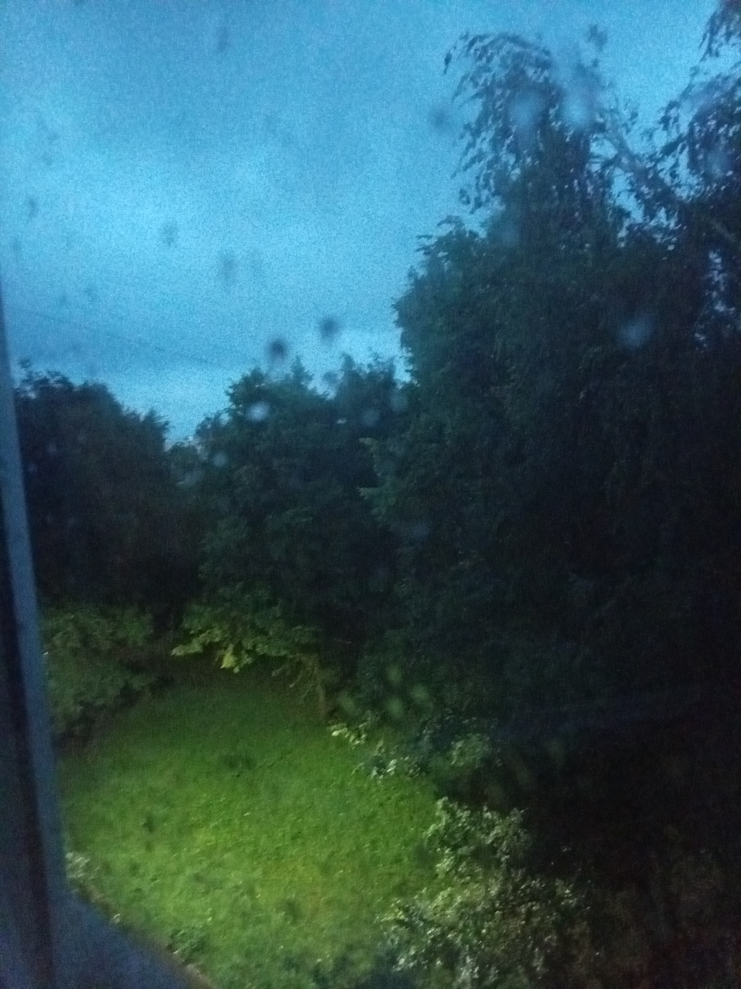 The image depicts an outdoor scene at dusk or under overcast skies, with a dark, possibly blue-gray sky. The foreground is dominated by a view through a window, evidenced by what appear to be water droplets or smudges on the glass. To the left, a dark vertical object, possibly a window frame or a partial view of a building, intrudes into the frame.
The middle ground features a lush green lawn, illuminated by an unseen light source, casting a vibrant glow on the grass. Beyond the lawn, a dense arrangement of trees and foliage forms a dark, shadowy backdrop. The trees are full and appear to be in leaf. The overall impression is of a garden or park area seen from an interior vantage point, possibly during or after rain. The image does not provide specific landmarks or details that would allow for identification of the city of Alatyr, Russia.