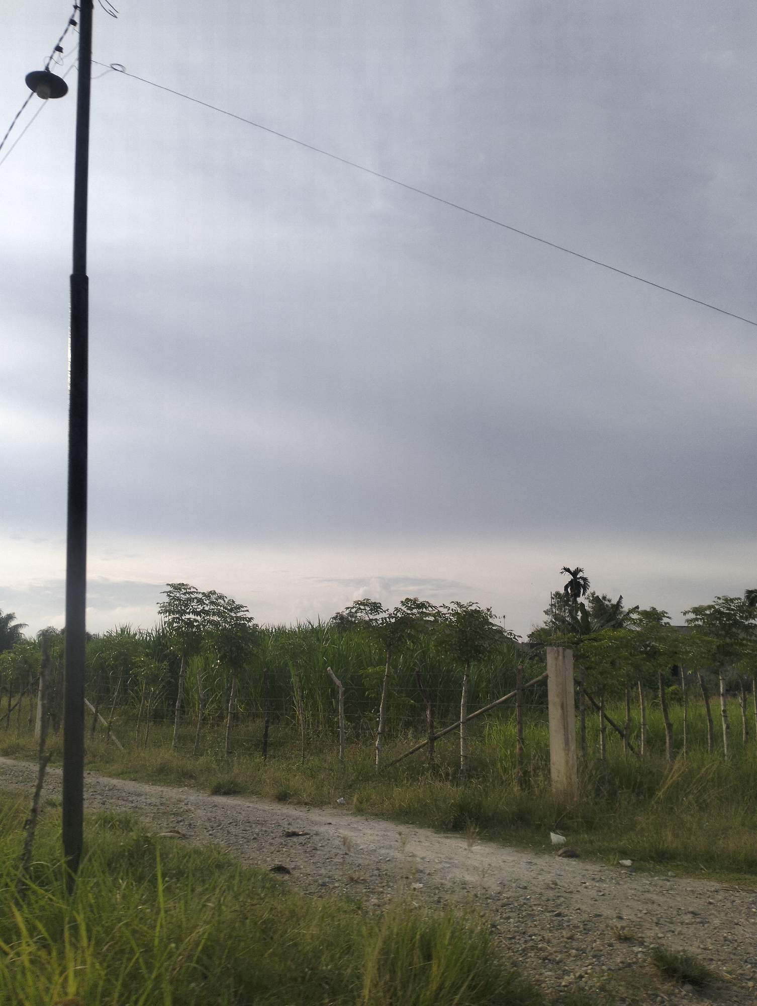 The image depicts an outdoor scene near a dirt road in Lhokseumawe, Indonesia. A tall, dark, vertical pole with a light fixture at the top is prominent on the left side of the frame. A thin wire extends from the pole across the sky. The background features a dense line of green vegetation, possibly crops or trees, separated by a fence made of wooden posts and wire. A concrete post stands within the fenced area. The sky is overcast and appears grey. The ground in the foreground is a gravelly dirt road with some green grass growing along its edges. The overall impression is a rural or semi-rural setting on a cloudy day.