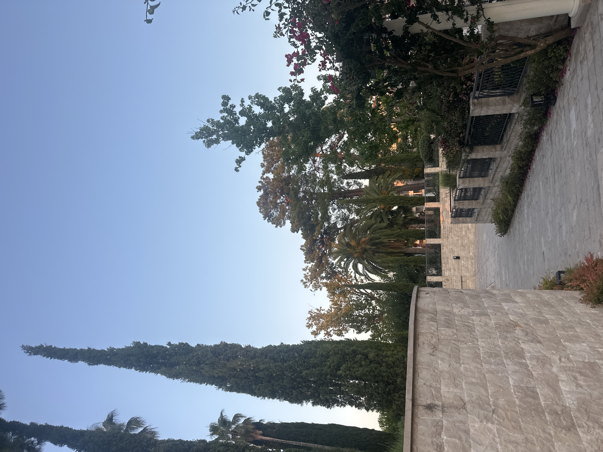 The image captures a serene outdoor scene in Kumbor, Montenegro, likely during the soft light of early morning or late afternoon. A paved pathway winds through a lush garden area, flanked by meticulously constructed stone walls and ornate metal railings. Tall cypress trees dominate the landscape, their dark green spires reaching towards a clear, pale blue sky. Various other trees and shrubs, including palm trees and flowering bushes with vibrant pink blooms, create a rich tapestry of greenery. The pathway itself is laid with light-colored paving stones, leading the eye deeper into the scene. The architecture suggests a well-maintained, possibly resort or residential, property. No people are visible in the frame, contributing to the tranquil and peaceful atmosphere. The overall impression is one of refined natural beauty and architectural harmony.