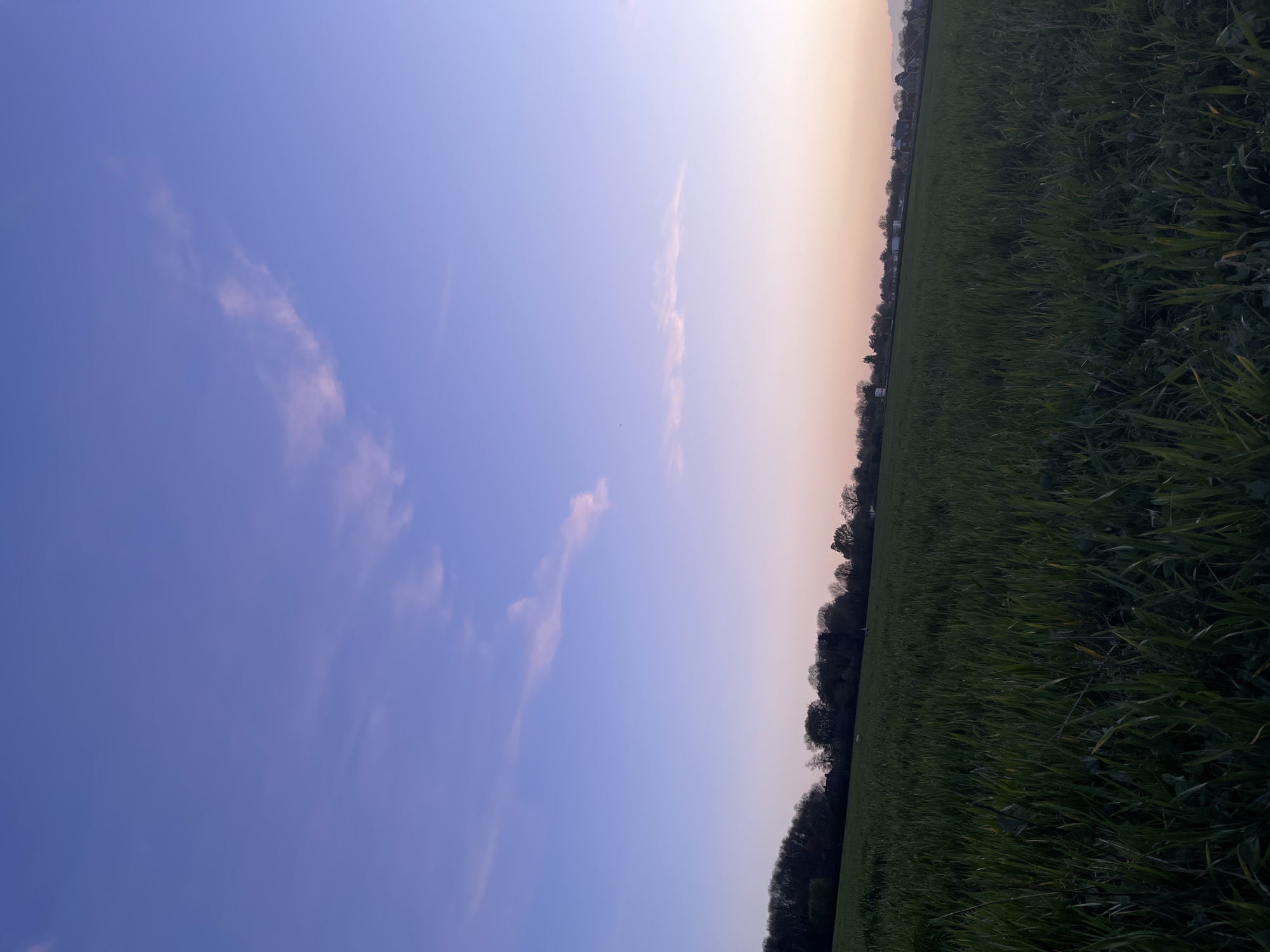 The image depicts a landscape scene, likely at dusk or dawn due to the gradient in the sky from a blue-purple hue to a yellow-orange tone near the horizon. On the right, a field of green grass or crops stretches towards the horizon. A line of trees and what appear to be houses are visible at the edge of the field. The location is likely in Maidstone, United Kingdom, given the context. There are no people visible in the image. The focus is on the natural elements and the transition from day to night or vice versa.