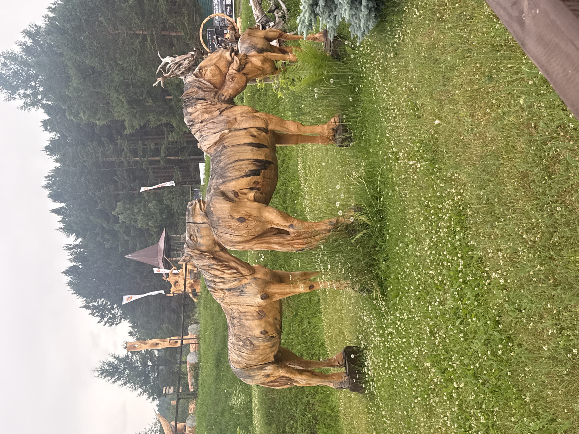 The image shows a series of wooden sculptures of horses in an outdoor setting. The horses are intricately carved and appear to be made from natural wood, showcasing the grain and textures. The sculptures are placed on a grassy area dotted with small white wildflowers. In the background, a dense forest of evergreen trees is visible, suggesting a rural or park-like location.
There are also some flags or banners with designs on them, as well as a small, conical-roofed structure that might be a gazebo or part of a display. A few other wooden structures or carvings can be seen in the distance, hinting at a larger display or exhibition. The lighting suggests it is daytime, and the overcast sky indicates potentially cloudy or hazy weather.
One of the sculptures in the foreground is more detailed, allowing for a closer look at the craftsmanship. The overall scene evokes a sense of rustic art and a connection to nature. There is some text visible on a banner in the background, but it is difficult to read due to the distance and resolution. The location is identified as Savvateevka, Russia.