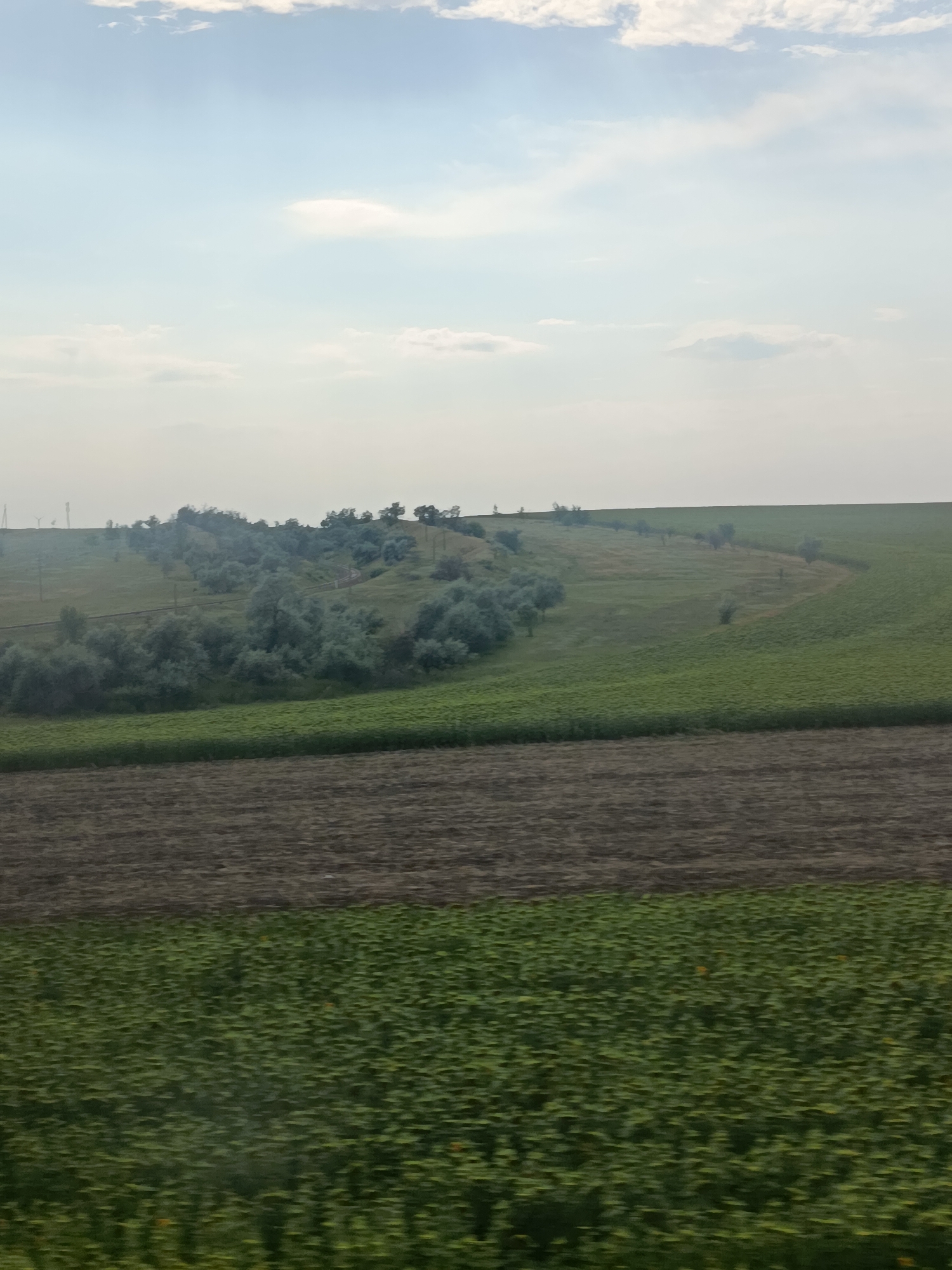 This image captures a rural landscape, likely on the outskirts of Comrat, Moldova, given the agricultural fields. The scene is divided horizontally into distinct zones. The foreground is dominated by a dense field of green crops, appearing to be sunflowers due to the small yellow blooms visible. Above this, a band of dark, tilled earth suggests recently plowed fields. Further back, rolling hills are covered in a patchwork of green fields and scattered trees, some of which appear to be part of a windbreak or natural vegetation lining a gentle curve that could be a road or a natural contour. The sky above is a hazy pale blue with scattered, wispy clouds, indicating a possibly overcast or hazy day. In the far distance, faint silhouettes of structures, possibly wind turbines or power lines, are visible against the horizon, hinting at the presence of infrastructure in the broader rural setting. The overall impression is one of agricultural land under a muted sky.