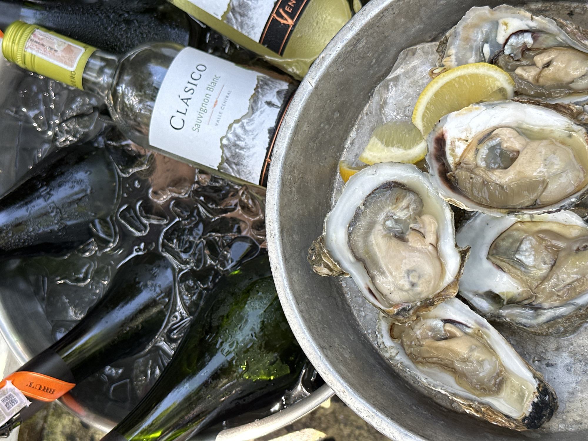 The image shows two metal bowls placed next to each other. One bowl contains bottles of wine and champagne submerged in ice. The wine bottle is labeled "Clásico Sauvignon Blanc". The other bowl contains a selection of raw oysters on ice, garnished with lemon wedges. The location is unknown.