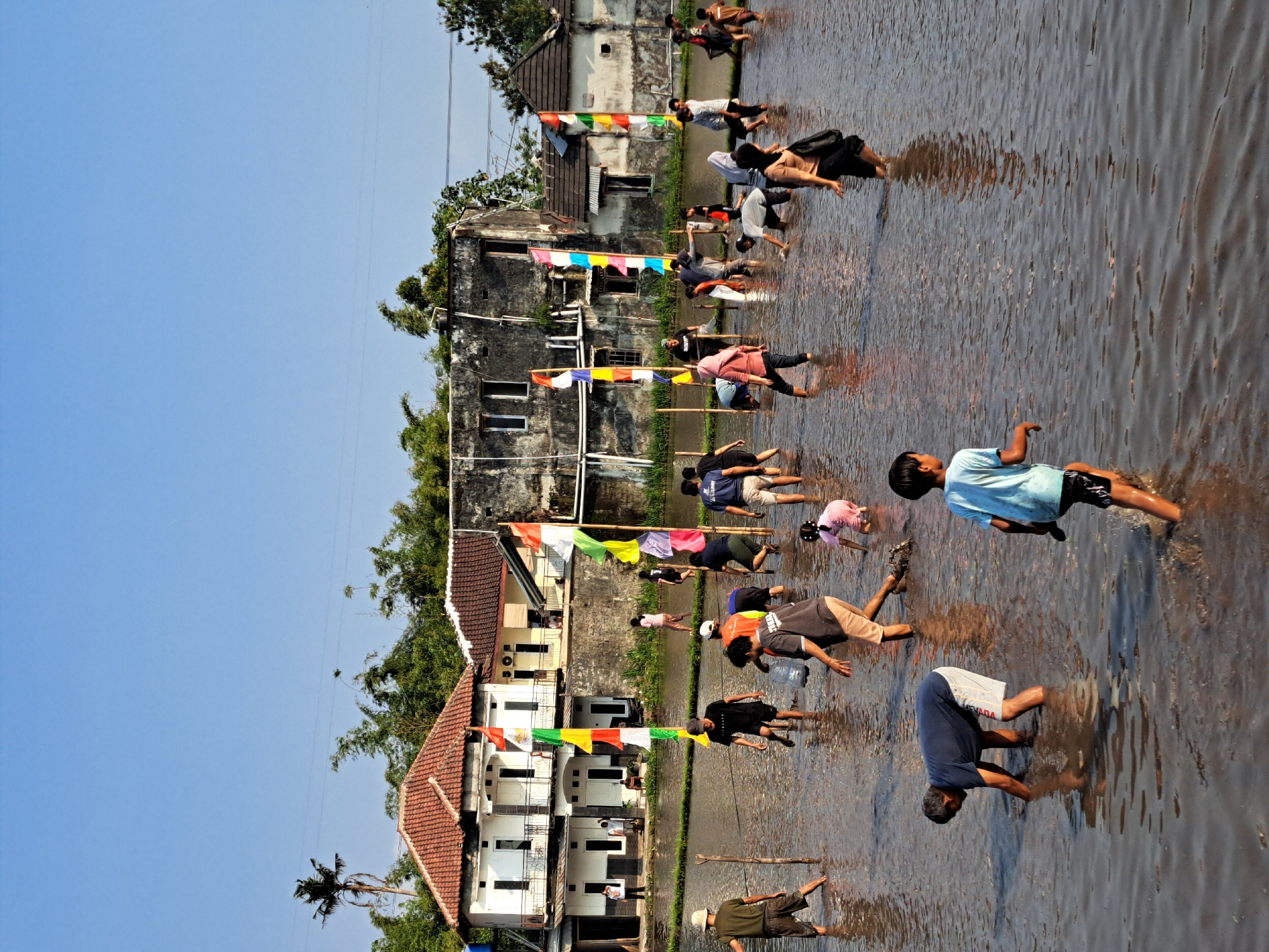 In Ngaglik, Indonesia, a group of people are participating in an outdoor activity in a flooded rice paddy. The scene is set against a backdrop of traditional Indonesian houses with red tiled roofs and weathered concrete walls. Several colorful flags, red, white, yellow, green, and blue, are planted in the water and on bamboo poles, indicating a festive occasion. The sky is a clear blue.
The participants, a mix of adults and children, are wading through the murky water, which reaches up to their knees and waists. Some individuals are bent over, seemingly searching for something or planting. Others are walking or standing, observing the activity. One man in the foreground is wearing a dark blue t-shirt and white shorts with a checkered pattern, actively searching in the water. To his right, a young boy in a light blue t-shirt and black shorts is walking away from the camera, splashing through the water. In the middle ground, several other people are engaged in similar activities, including a woman in a pink shirt and a person wearing a black headscarf. Further back, more people are spread across the paddy. The water's surface reflects the sky and the surrounding structures, adding depth to the scene. The overall atmosphere suggests a communal event, possibly a competition or a cultural celebration, taking place in a rural or semi-rural environment.