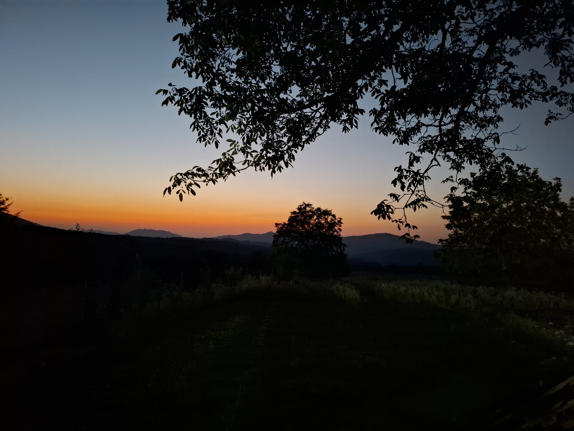 The image depicts a sunset over a rural landscape. Silhouetted trees and foliage frame the foreground and middle ground, obscuring details of the terrain which appears to be rolling hills and open fields. In the distance, layers of mountains fade into the horizon under a sky transitioning from a pale blue at the top to a vibrant orange and yellow near the horizon, indicating the sun is either setting or has recently set. The overall impression is one of twilight in a natural, unpopulated setting, specifically of the landscape near the village of Sel'mentauzen, Russia. No people or specific structures are visible.
