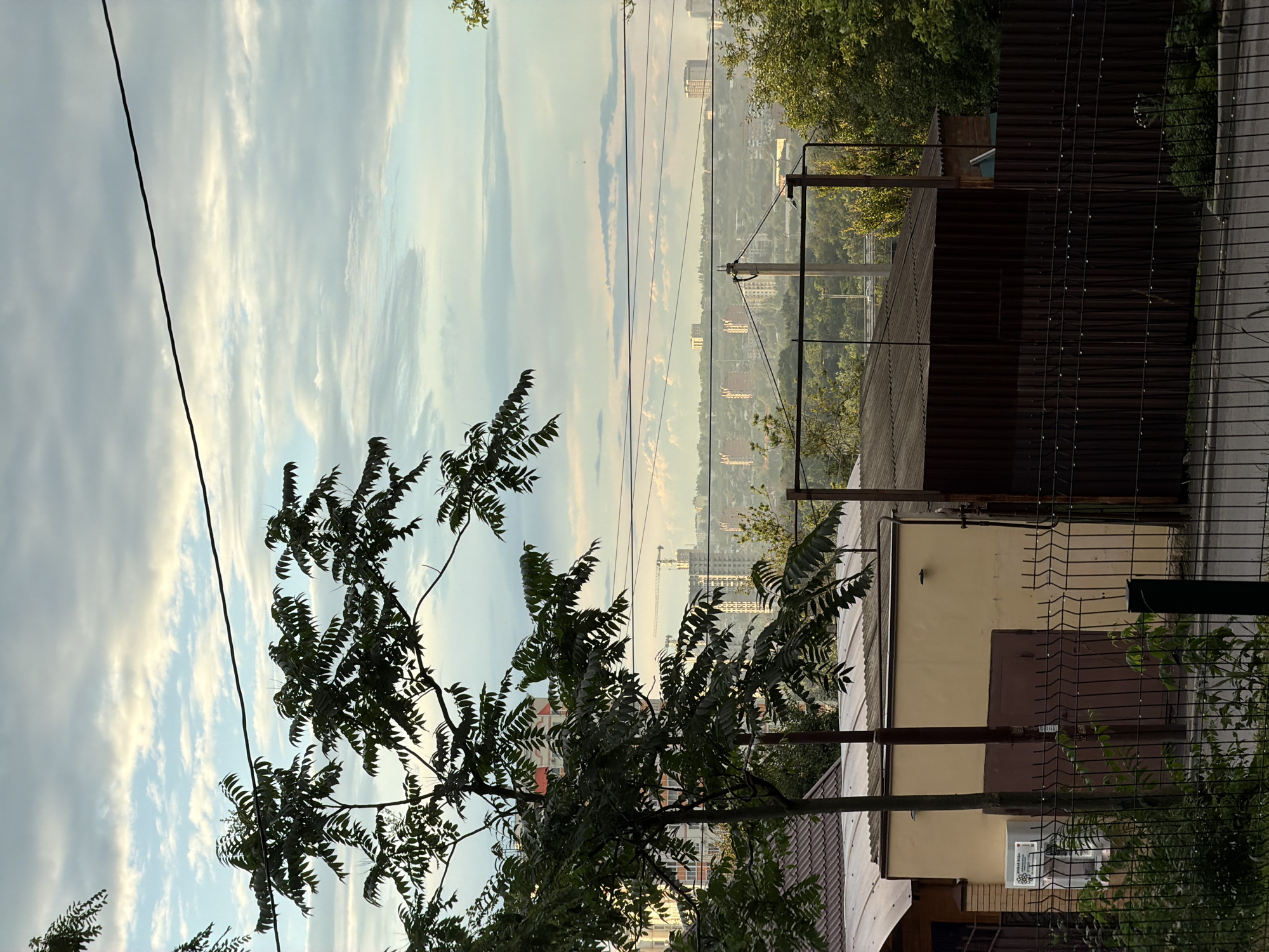 The media file depicts an outdoor scene, likely in Rostov-on-Don, Russia, at what appears to be either dawn or dusk due to the soft lighting and diffused clouds. The perspective is from a slightly elevated position, looking out over a cityscape.
In the foreground, there are several trees with feathery leaves, silhouetted against the sky, and a power line stretches diagonally across the frame. To the right, a corrugated metal fence and the roof of a building are visible. Beyond these, the middle ground shows more trees and the distant urban landscape, characterized by apartment buildings and what appear to be construction cranes, suggesting ongoing development. The sky is filled with dramatic, wispy clouds, tinged with soft yellow and blue hues.
The scene is quiet and still, evoking a sense of peace or perhaps introspection. There are no people visible in the frame. A small, white and red object, possibly an ATM or a vending machine, is partially visible near the bottom right, affixed to a wall. No other discernible text is present in the image.