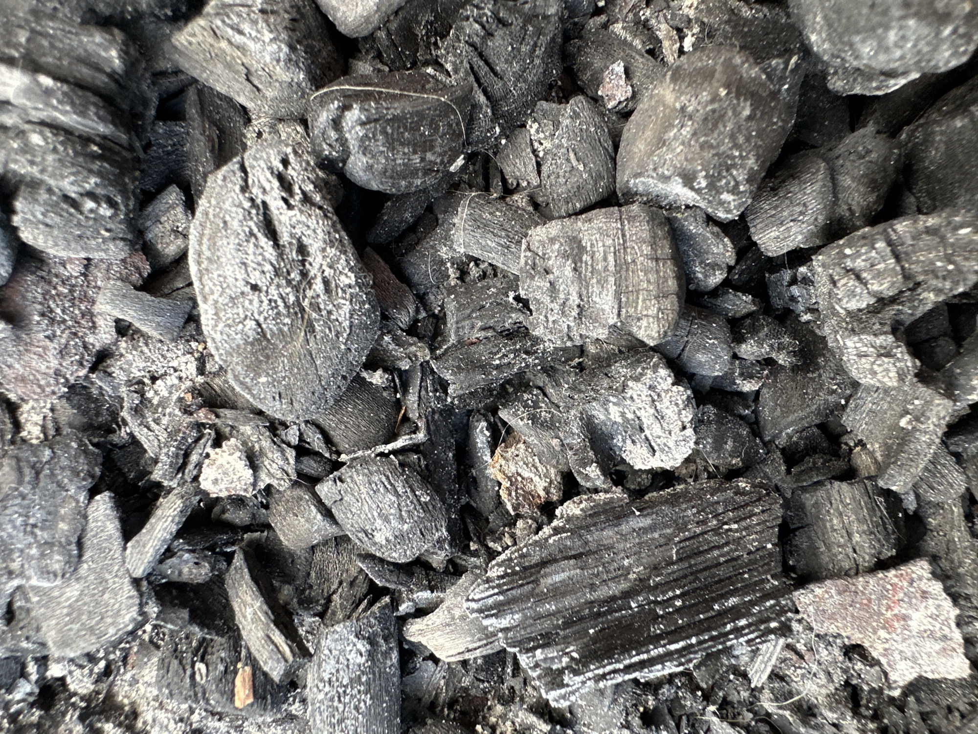 A close-up, overhead shot captures a pile of charcoal pieces. The charcoal fragments are varied in size and shape, with rough, irregular surfaces. Some pieces show the texture of wood grain, indicating they were once part of a larger piece of wood. The overall color is a deep black, with some lighter gray ash or dust clinging to the surfaces. The lighting is even, casting no distinct shadows and highlighting the textures of the charcoal. There are no people, animals, or discernable environmental features beyond the charcoal itself. The scene appears to be a collection of burnt material, possibly from a fire pit or a grill.