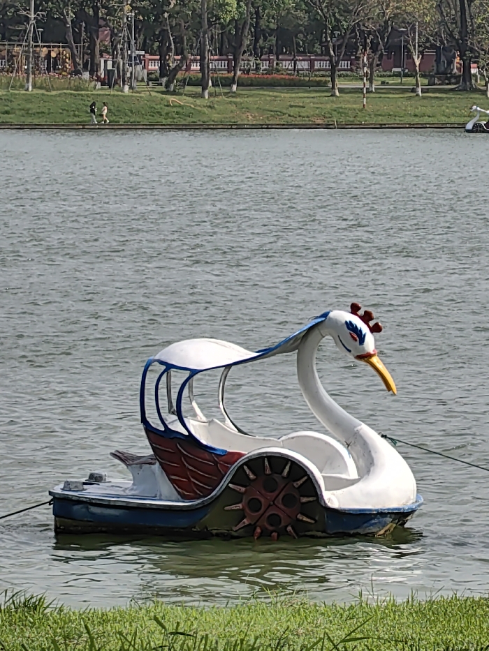 An unoccupied white swan-shaped pedal boat floats on a ripple-surfaced body of water in Thuận Hóa Ward, Vietnam. The boat features blue trim along its base and canopy support, red wing-like patterns on its sides, and a brown/red paddle wheel. The swan's head is white with blue eye markings, red comb-like details, and a yellow beak. A dark line, possibly an anchor rope, extends from the rear of the boat into the water. In the distant background, across the water, a grassy embankment is visible, upon which two individuals are walking. Behind the embankment, a line of trees with varying foliage density stands before faintly discernible urban structures. A patch of green grass is visible at the immediate bottom edge of the frame.