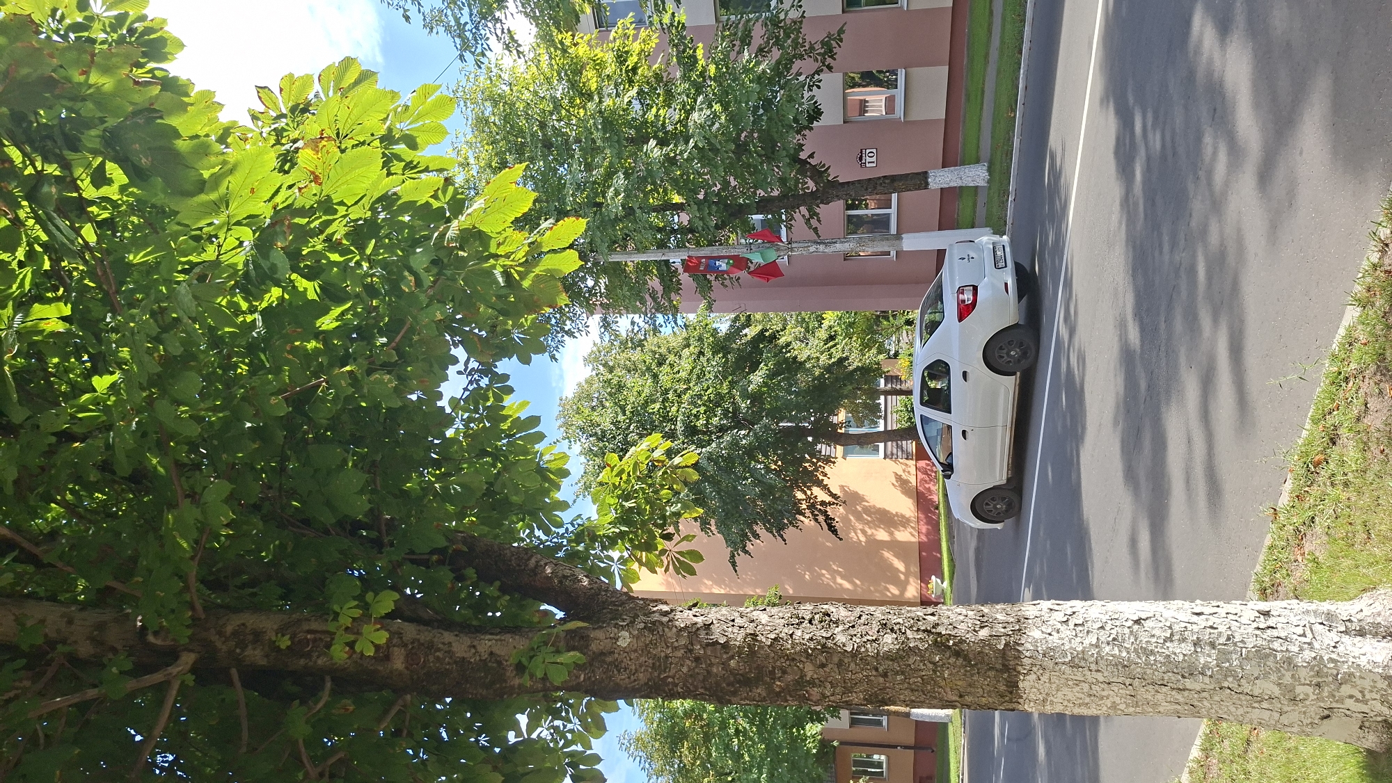 A white sedan is driving on a paved road in front of apartment buildings. The car is a medium shot, and it's moving to the left of the frame. The trees in the foreground are tall and leafy, with sunlight filtering through their branches. The apartment buildings are a soft pink and orange color, and they have several windows. The sky is blue with a few white clouds. A street light with flags is visible in the middle ground. The scene is set in Myadzyel, Belarus.