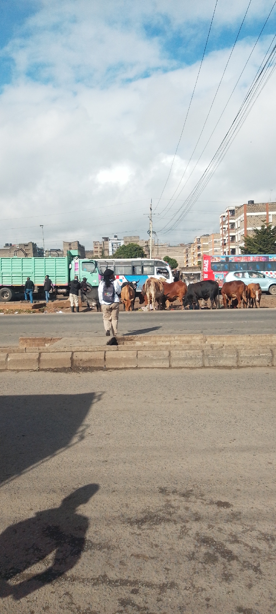 This image depicts a busy urban road scene in Nairobi, Kenya, likely in the environs of a livestock market or transport hub such as Dagoretti. In the immediate foreground, a paved asphalt road surface is visible, along with a concrete curb and the long shadow of an unseen individual or object extending from the lower left.
A person, seen from behind, walks away from the camera in the midground, dressed in a white shirt, tan pants, and a dark backpack, with dark dreadlocks or braids. To their right, on a dirt shoulder alongside the road, a herd of approximately 8 to 10 cattle of various brown, black, and white hues stands, some appearing to graze on scattered debris.
Behind the cattle, multiple vehicles are present. A light green, open-top truck is parked on the left, with approximately three individuals standing near its rear. Adjacent to the truck and cattle is a white and blue passenger bus (matatu). Further down the road, another matatu, predominantly red and blue with the text "BY GRACE" visible, is parked, with a light blue sedan partially obscured behind it.
In total, approximately five to seven individuals are observable interacting near the parked vehicles and cattle. One individual near the green truck wears tall black boots. Overhead, numerous utility lines traverse the sky from right to left. The background reveals multi-story residential or commercial buildings constructed from stone and concrete, typical of Nairobi's urban landscape, under a partly cloudy sky.