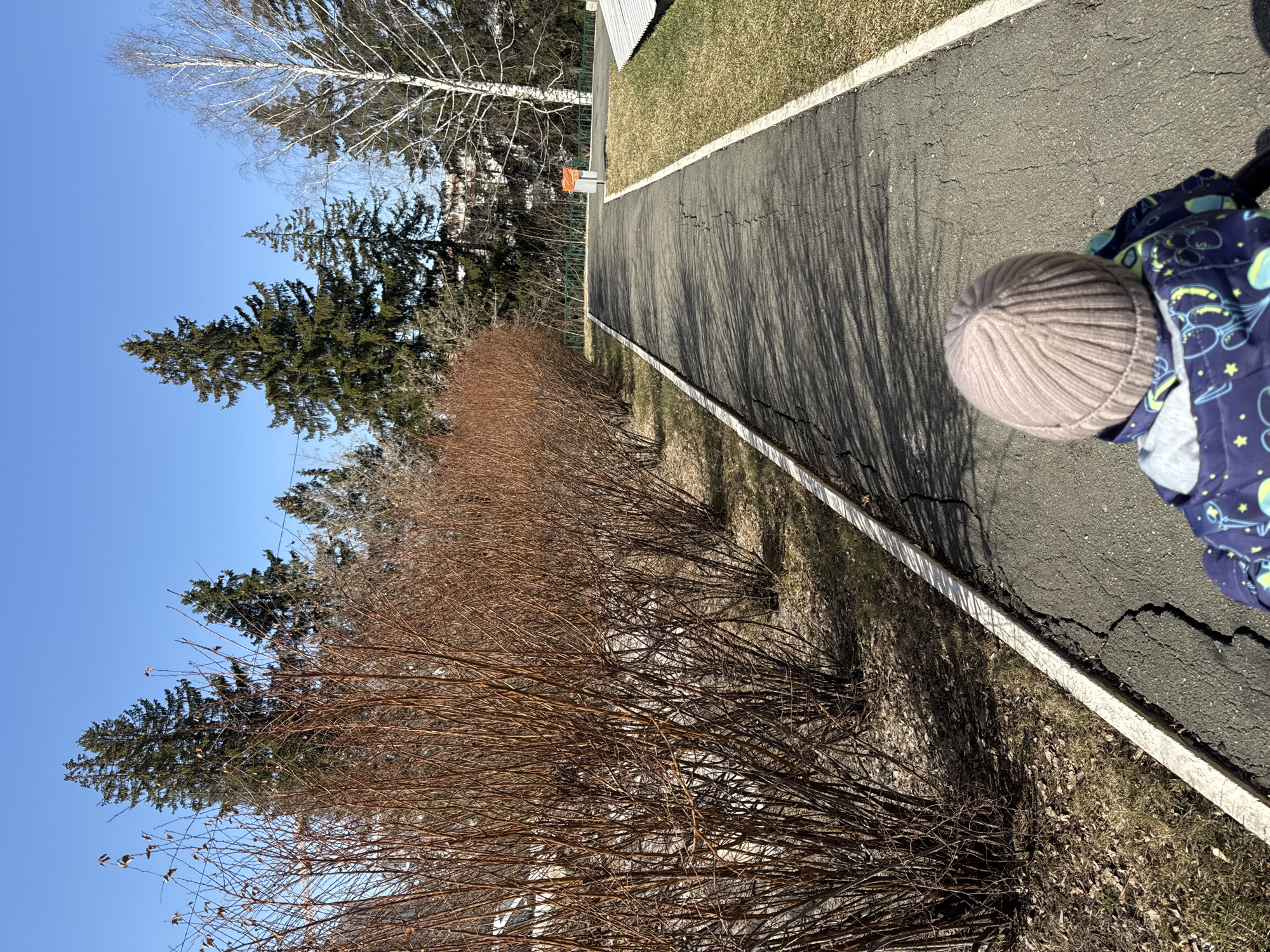 The image depicts a paved pathway adjacent to a brown, leafless bush in a possible urban environment. A person, partially visible, wears a beige knit cap and a blue jacket with a space-themed pattern. The path is cracked in several places and the pavement is casting long shadows, likely from trees. Beyond the bush are evergreens and bare deciduous trees. The sky is clear and blue. There is an orange object behind a green fence. The location is Izhevsk, Russia.