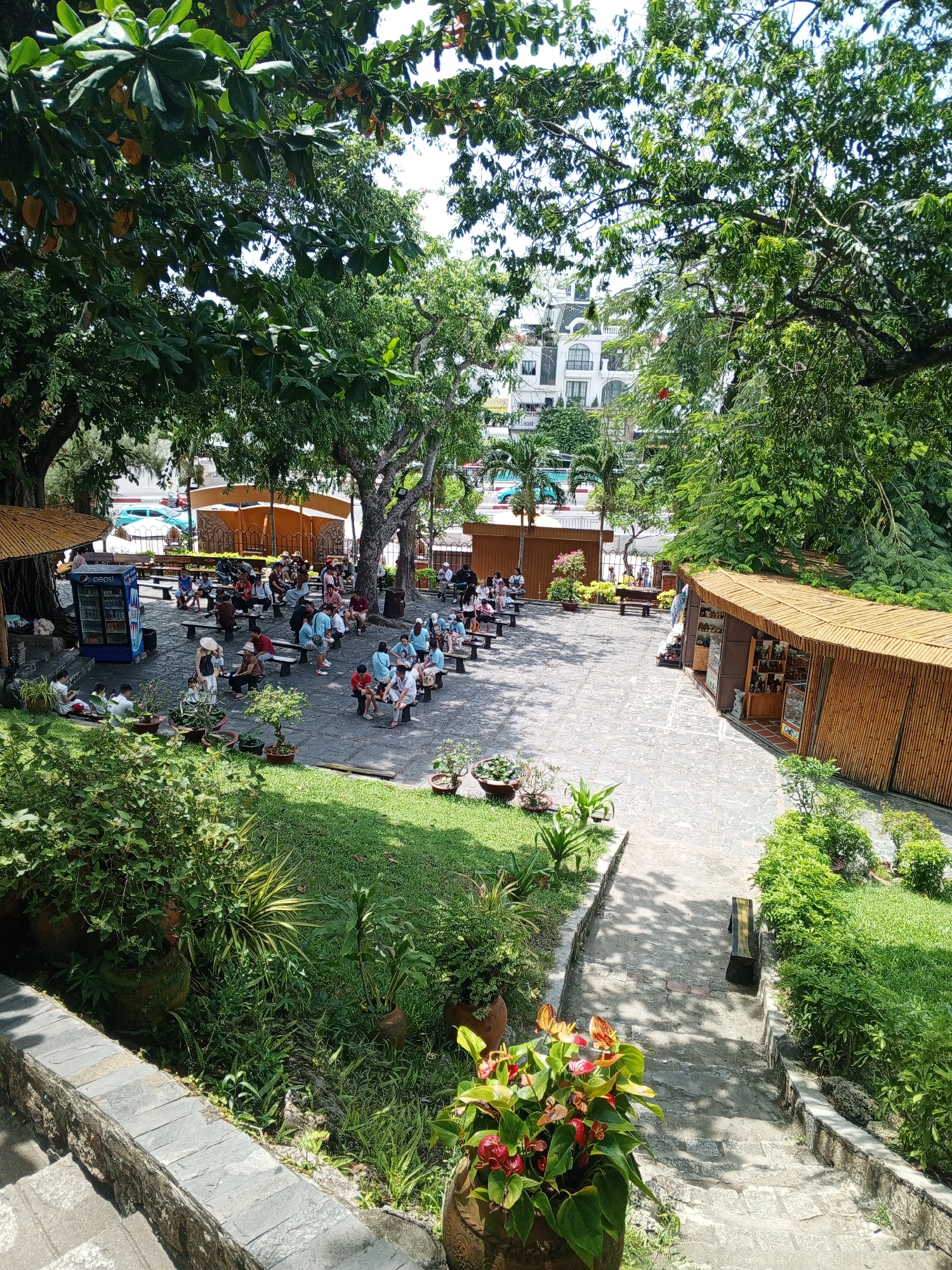 The image depicts an outdoor seating area with numerous individuals gathered, likely a tourist attraction or public park in the city of Bac Nha Trang Ward, Vietnam. The scene is characterized by lush greenery, with mature trees providing ample shade. Several wooden structures, resembling stalls or small buildings with thatched roofs, are visible, suggesting they may be shops or food vendors.
In the foreground, a stone pathway leads down a set of stairs, bordered by potted plants and manicured grass. A large potted plant with red and orange flowers is prominently displayed near the bottom of the stairs.
The main gathering area features a paved courtyard surrounded by benches, where a considerable number of people are seated, appearing to rest, converse, or observe their surroundings. A blue Pepsi refrigerator is positioned near one of the wooden structures. In the background, a multi-story building with a distinctive architectural style is visible, along with palm trees and other vegetation, hinting at a well-developed urban environment. The overall atmosphere suggests a leisurely and social gathering in a tropical setting.