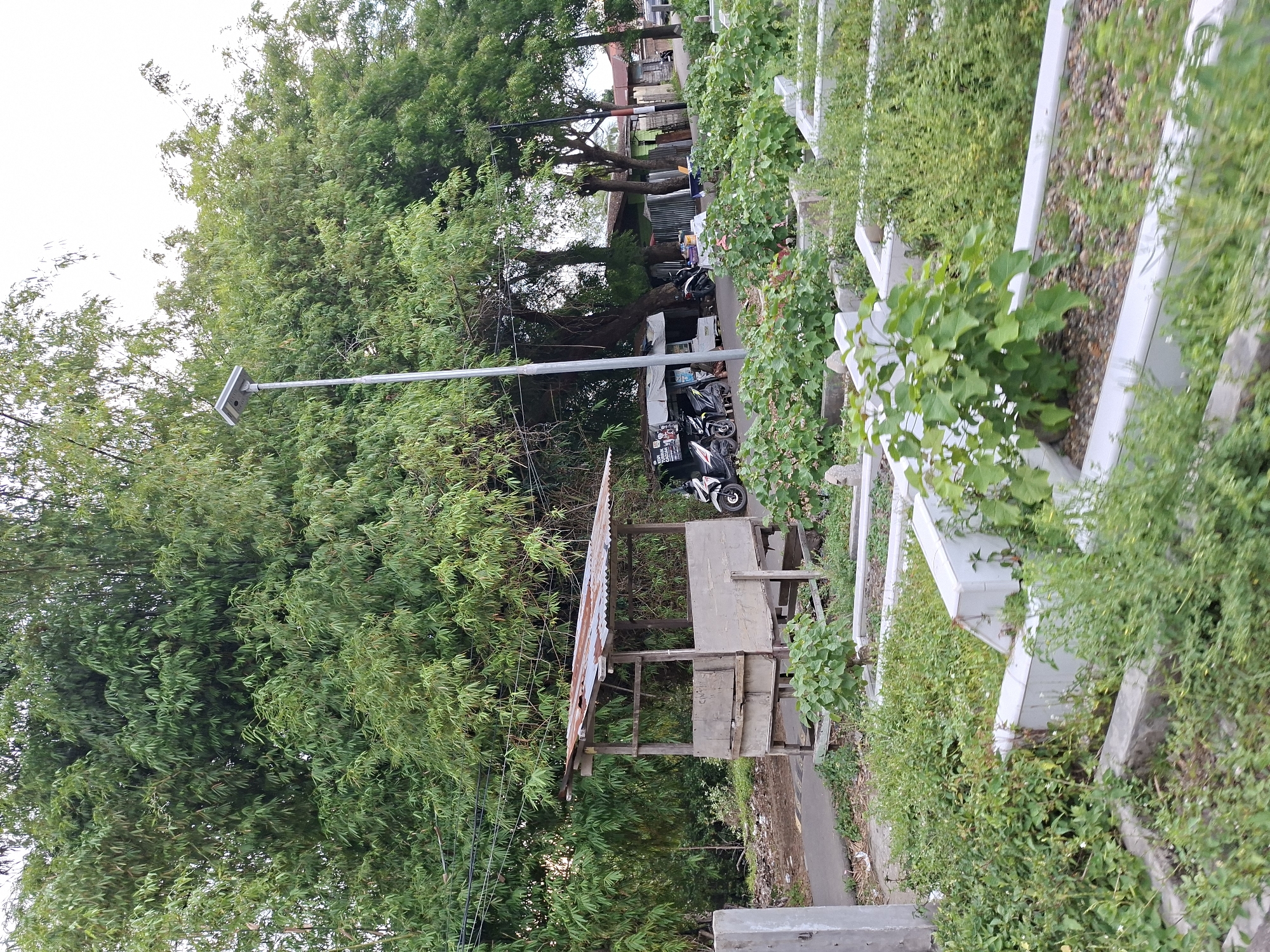 The image shows a street scene in Lhokseumawe, Indonesia. The view is partially obscured by lush vegetation. On the left, there is a tall tree and a wooden structure with a rusty metal roof. A lamppost stands adjacent to the tree. Several motorcycles are parked along the street. On the right, there is a concrete structure covered in green plants. The overall impression is of a densely vegetated street in a tropical urban environment.