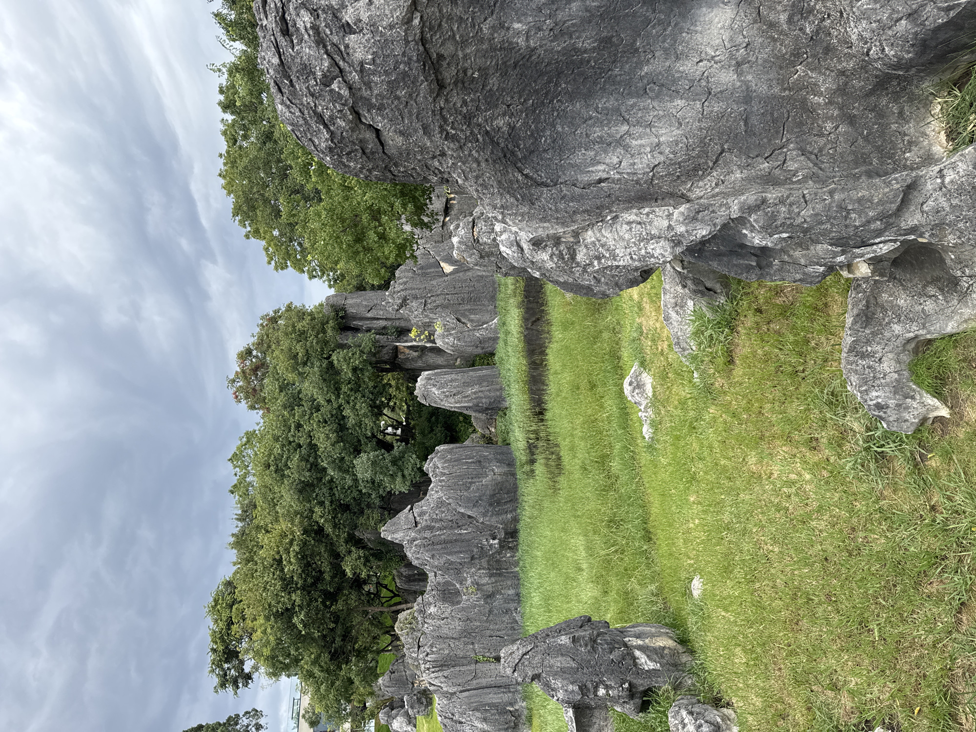 The image depicts the Stone Forest National Geopark in Kunming, China. In the foreground, large, grey karst rock formations with textured surfaces are prominent, with one in the immediate right foreground dominating the view. Beyond these, a grassy field stretches out, dotted with more stone formations and patches of marshy ground. In the middle ground, a cluster of tall, slender karst pillars rise from the grass, creating a striking geological landscape. A dense canopy of green trees forms the background, with some buildings partially visible through the foliage on the far left, suggesting the park's proximity to urban areas. The sky above is overcast with grey clouds. No people or animals are visible in the scene.