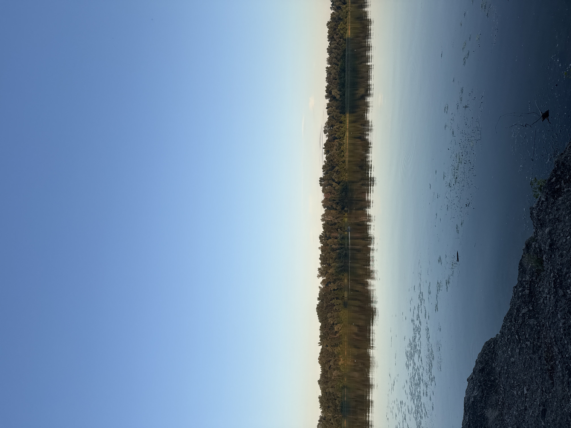 The image depicts a serene natural landscape at Dnipro, Ukraine. The scene is dominated by a large body of water, likely a river or lake, reflecting the sky and the tree-lined shore. On the left side of the image, a vast, clear blue sky occupies a significant portion, indicating fair weather. The horizon line is low, separating the sky from the water.
Along the central and right portion of the image, a dense line of trees forms the opposite shore, their reflections creating a mirrored effect on the calm water. The water's surface is dotted with what appear to be water lilies or other aquatic vegetation, adding texture to the scene. Towards the far right, a rocky embankment rises from the water, its rough texture contrasting with the smooth water and sky. The lighting suggests it is either early morning or late afternoon, with the sun low in the sky, casting a soft, diffused light. The overall mood is peaceful and tranquil. There is no visible text in the image.