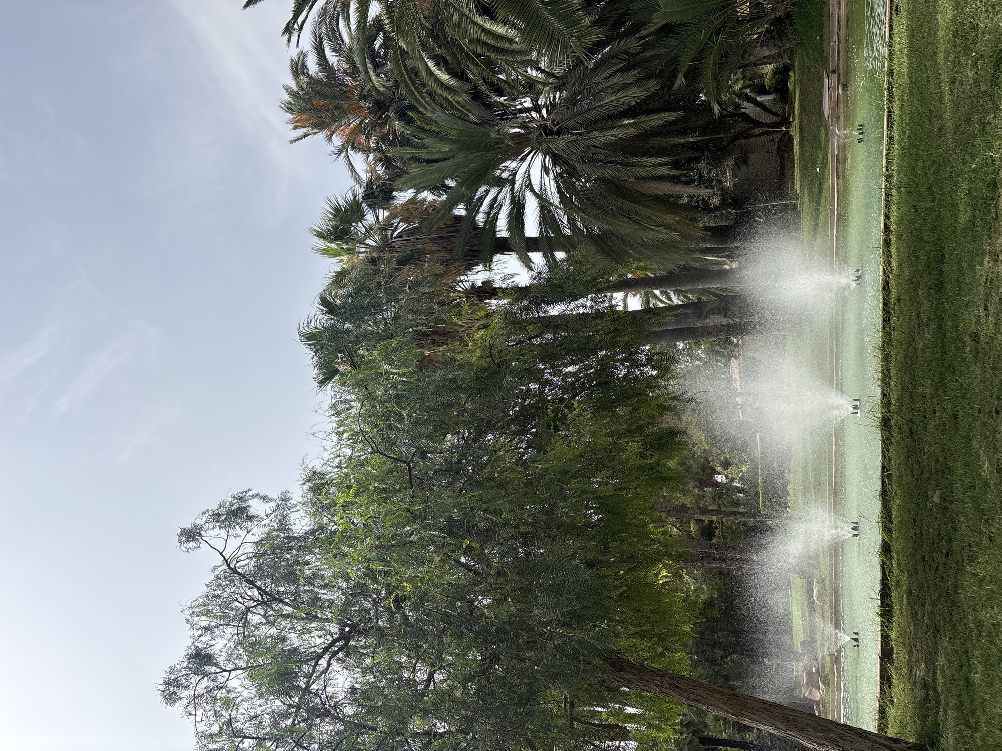 The image depicts a serene park scene in Valencia, Spain, featuring a rectangular pool with multiple fountains spraying water. The pool's water is a vibrant green, suggesting it is well-maintained. Surrounding the pool is lush green grass, creating a tranquil ambiance. In the background, a variety of trees, including palm trees, add to the tropical feel of the landscape. The sky above is partly cloudy, indicating a pleasant day. The overall atmosphere is one of peace and natural beauty, characteristic of a well-kept public park.