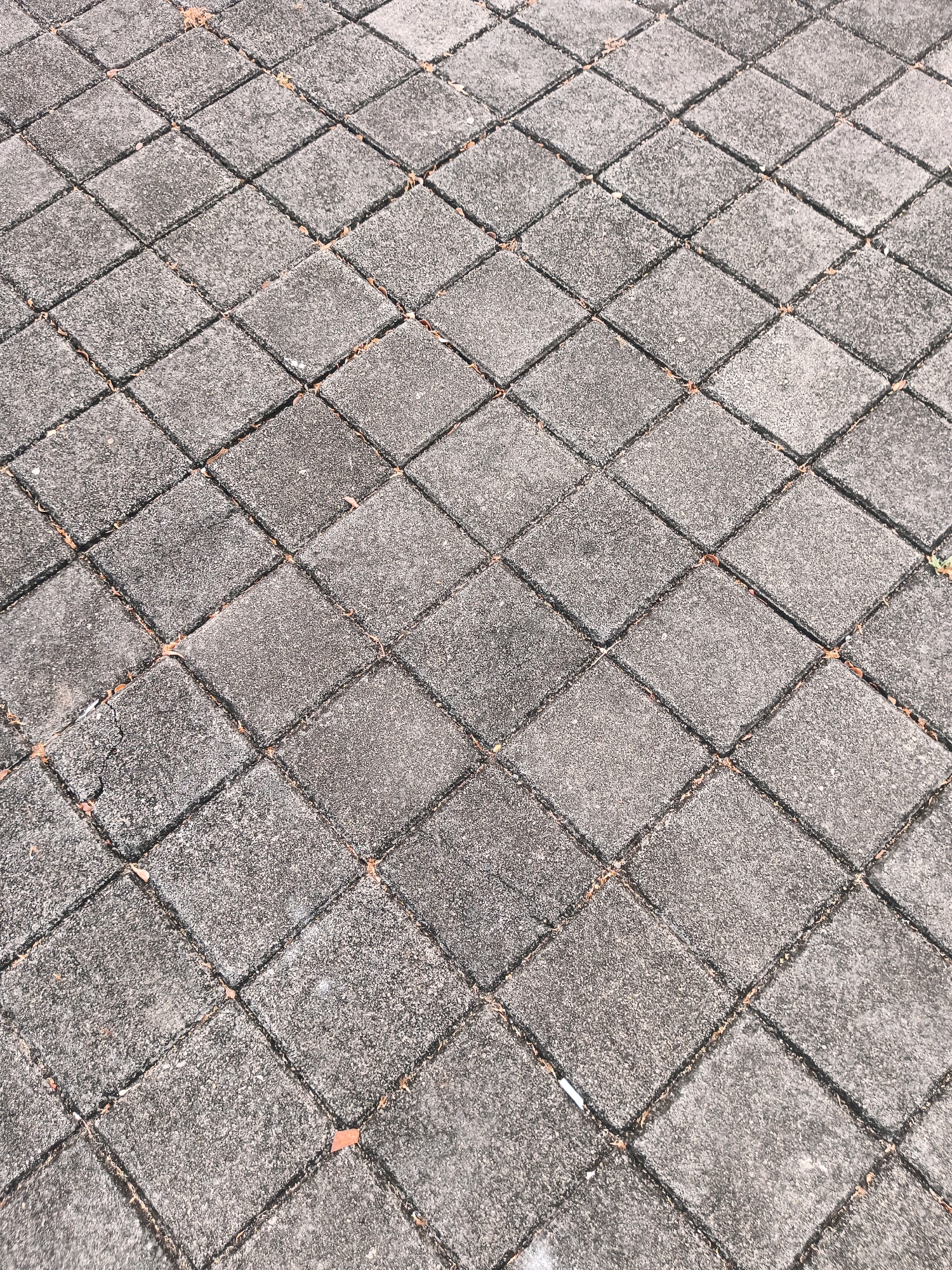 The image shows a close-up, high-angle view of a diamond-patterned paving stone surface. The stones are weathered concrete, with visible texture and some minor chips or cracks. Small, dried leaves or debris are scattered in the gaps between the stones. The lighting suggests an outdoor environment, likely during the day. The scene is devoid of any people or significant landmarks, making it impossible to pinpoint a specific location within Bandung City, Indonesia. The environment appears to be an outdoor pathway or ground surface.