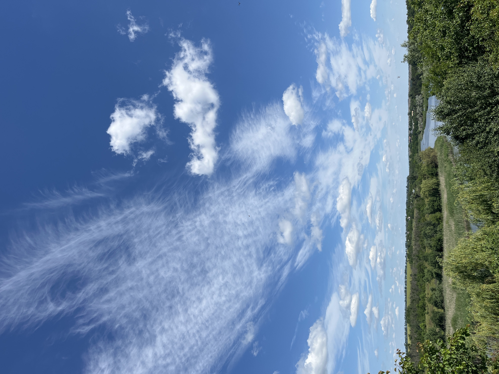 The image depicts a wide, blue sky with scattered clouds, dominated by wispy cirrus clouds stretching across the upper left quadrant. Below the sky, a lush green landscape unfolds, characterized by a winding river or body of water flowing through a valley. The river is flanked by dense vegetation, including tall reeds along the banks and various trees forming a rich green canopy. In the distance, the terrain rises gently, covered with fields and scattered houses, suggesting a rural or semi-rural environment. The foreground is occupied by the tops of trees, their green foliage framing the view. The scene appears to be a natural landscape, possibly a park or riverside area, under a bright, daytime sky. The location is identified as Lozuvatka, Ukraine. There are no visible people or specific actions. The environment is natural, with elements of water, vegetation, and sky.