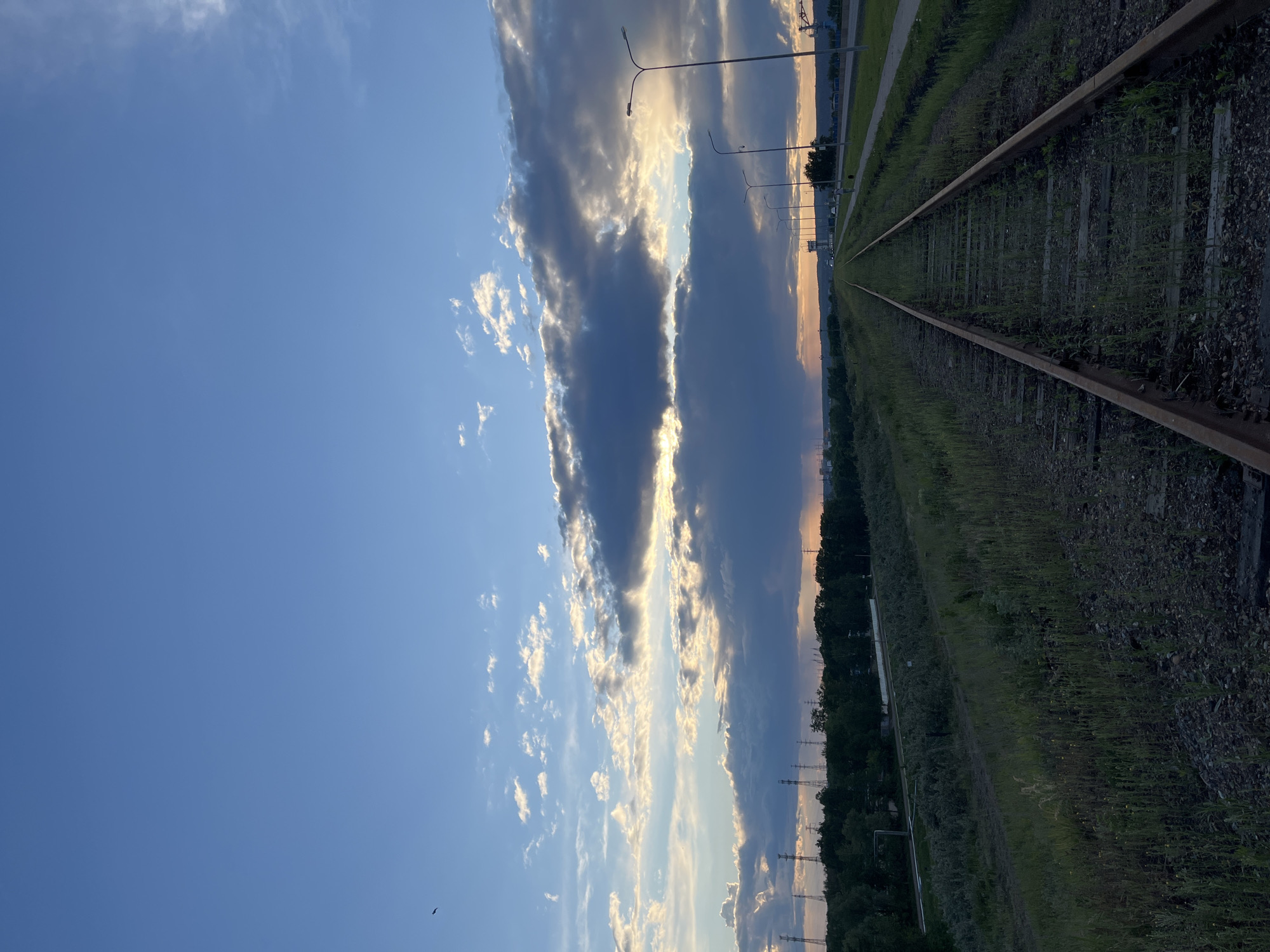 The image depicts a set of train tracks extending into the distance under a cloudy sky. The tracks are surrounded by vegetation and small gravel. Along the tracks are trees and telephone poles with lights. The city of Chaikovsky, Russia is not discernable from the image. There are no people visible in the image. A dark spot that appears to be a bird can be seen in the blue sky in the lower left.