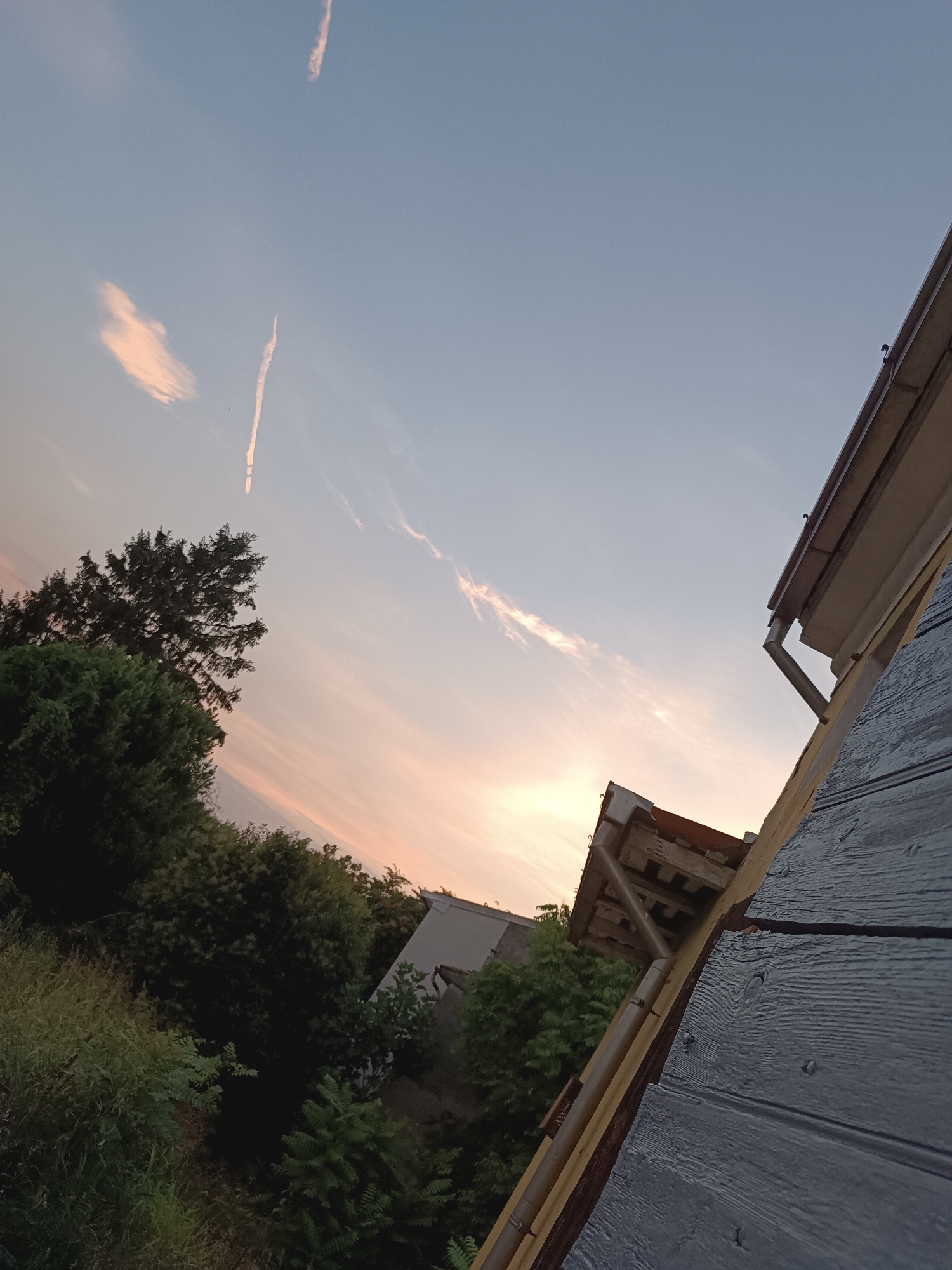 A tilted, eye-level outdoor shot depicts a twilight sky with wispy clouds and a faint contrail. The sky transitions from pale blue at the top to soft pink and orange hues near the horizon. In the foreground, the weathered, blue-painted wooden siding of a structure occupies the right side of the frame. The left side of the image is filled with dark green foliage of trees and bushes, obscuring most of the ground. The roofline of a building with a gutter system is visible in the mid-ground, angled towards the right, with a portion of another building partially visible behind it. The overall scene is likely from an elevated perspective, possibly a balcony or rooftop, in Viadana, Italy.