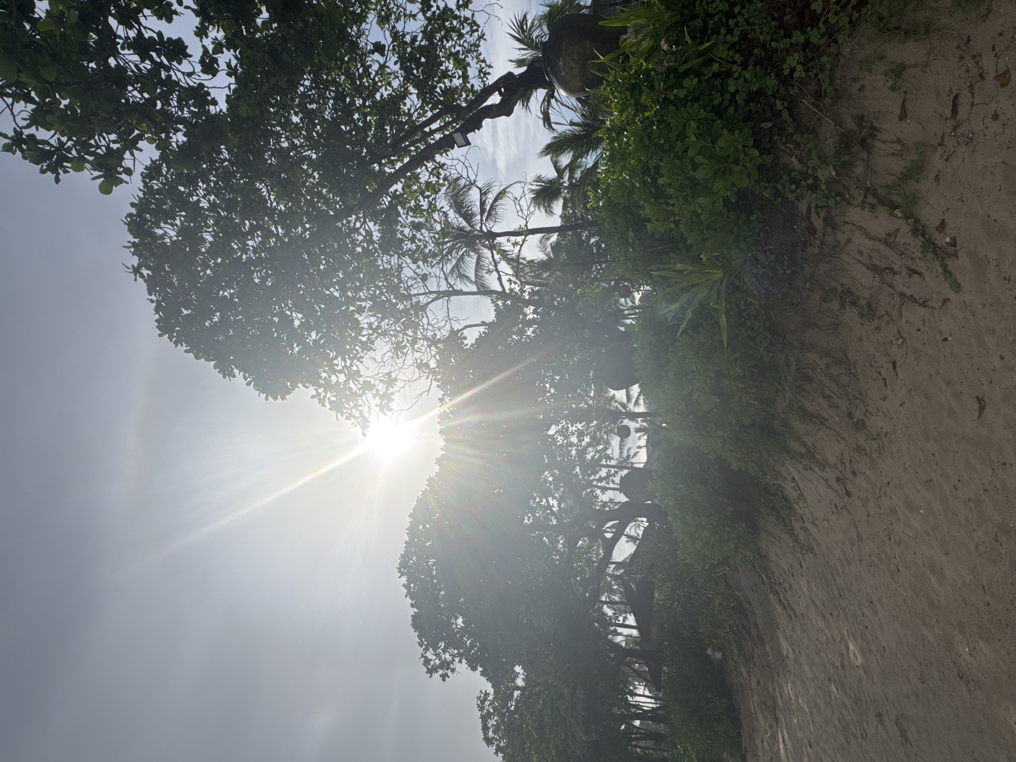 The image depicts a beach scene in Kuta Selatan, Indonesia. Sunlight filters through the dense foliage of trees, including palm trees, casting bright rays across the sky. A sandy surface is visible on the right side of the frame, with vegetation growing along the edge.