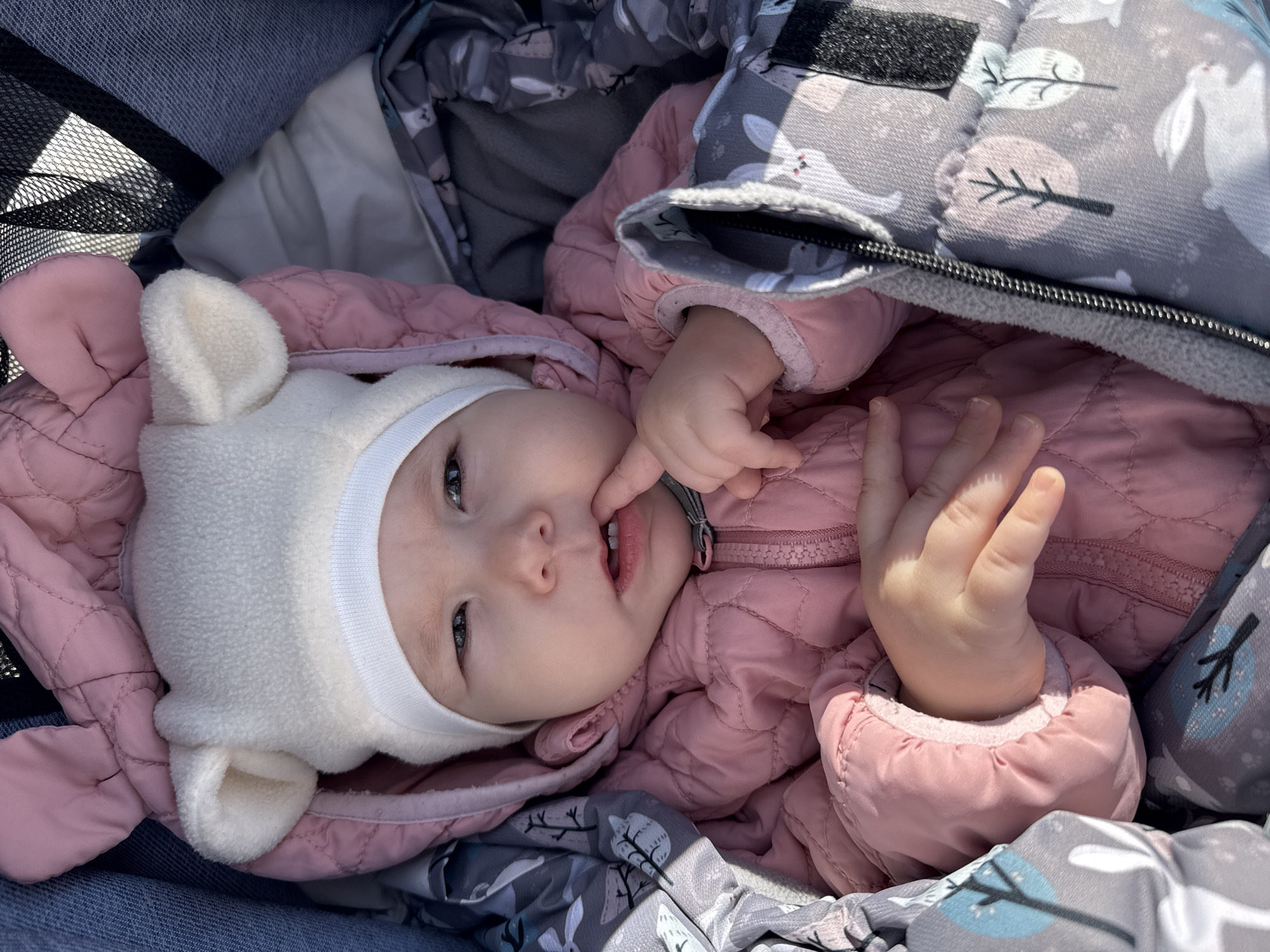 A baby lies in a stroller, wearing a white hat with bunny ears and a pink quilted jacket. The baby has fingers in their mouth and is looking at the camera. The stroller's interior is lined with a patterned gray fabric. The location is unknown; there is no information in the image to suggest Zav'yalovo, Russia, or any other specific location.