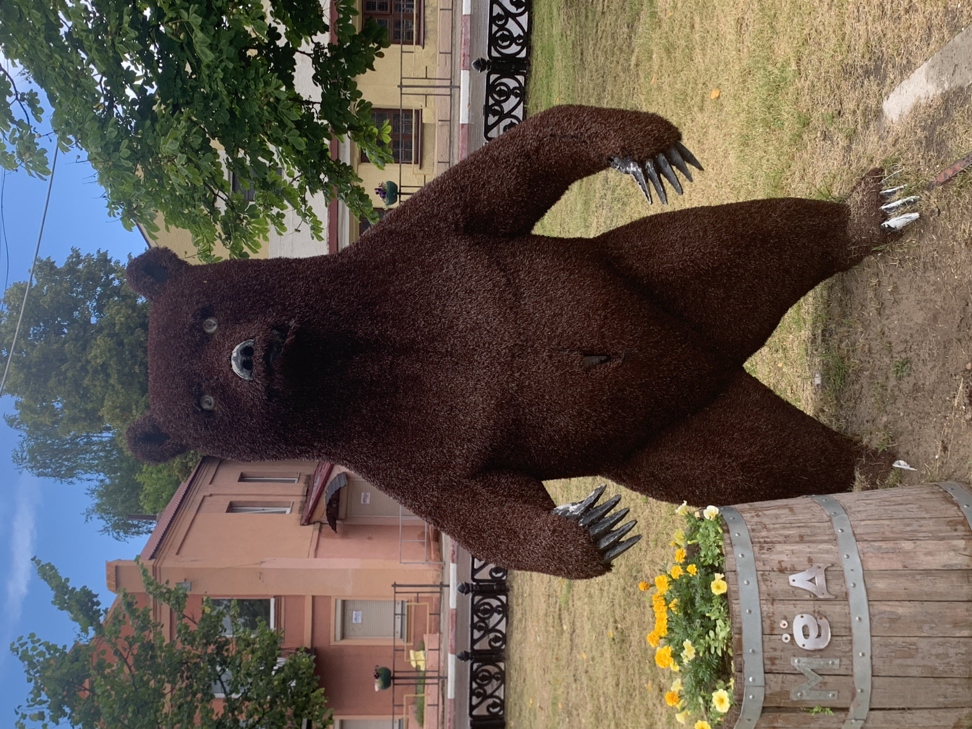 A life-size sculpture of a standing brown bear, constructed from a dark brown textured material, is positioned on a grassy area in the city of Pastavy, Belarus. The bear has a black nose, white-tipped claws on its outstretched paws, and stands with its legs slightly apart. In front of the bear, to its left, is a wooden barrel planter filled with yellow and green flowers. The barrel has metal bands and is decorated with the Cyrillic letters "МЁД". In the background, there are buildings with light pink and yellow facades, as well as trees and a blue sky. A decorative black metal fence is visible behind the barrel and the bear. The ground is covered in grass and some dirt patches.