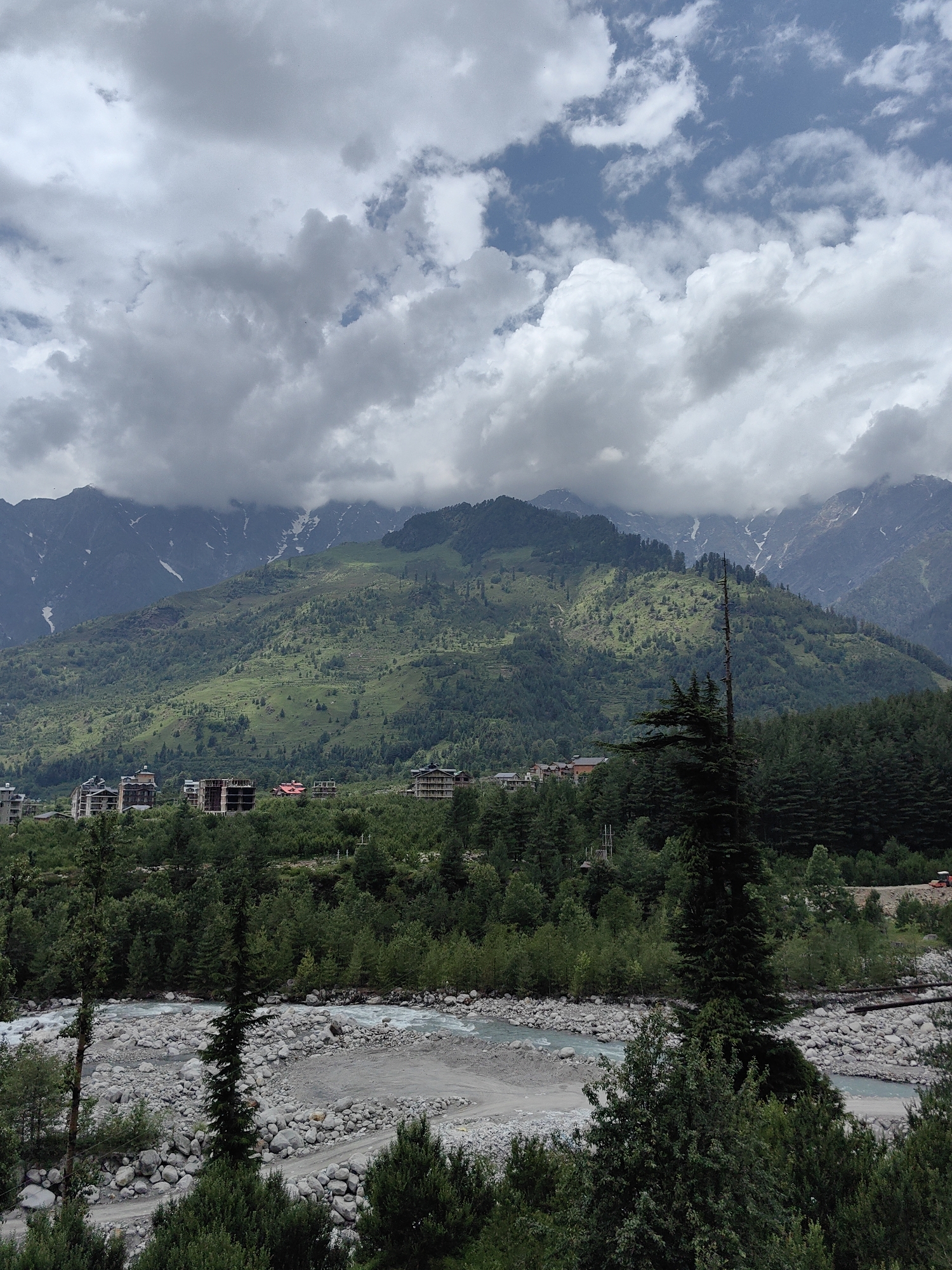 The image captures a scenic mountain landscape in Palchan, India, under a cloudy sky. In the foreground, a riverbed filled with numerous grey stones is visible, with a light blue, flowing river running through it. Lush green trees and foliage dominate the midground, with a tall, slender evergreen tree standing out prominently. In the background, a verdant mountain slopes upward, dotted with smaller trees and patches of green grass. Several buildings, appearing to be hotels or apartment complexes, are situated on the lower slopes of the mountain, some of which show signs of construction. The peaks of the higher mountains in the distance are shrouded in clouds and feature patches of snow. The overall impression is one of a natural, mountainous environment with signs of human development.