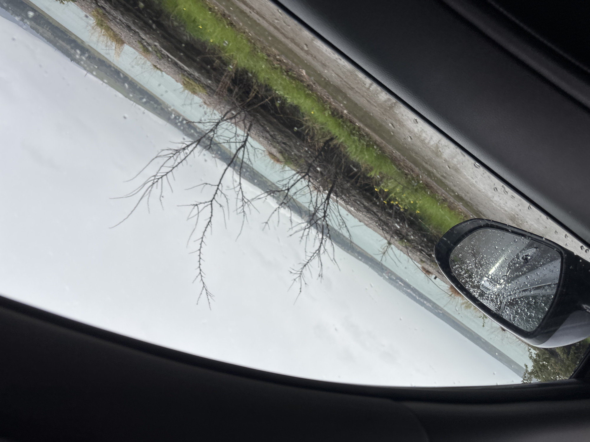 The image shows a view from inside a car, looking out the passenger-side window. Raindrops are visible on the window and side mirror. A leafless tree is in the foreground, with greenery and a body of water (likely a river or lake) in the background. The sky is overcast. The car's interior trim is visible in the foreground. This view is likely not in Tbilisi, Georgia because the vegetation does not appear compatible with the region.
