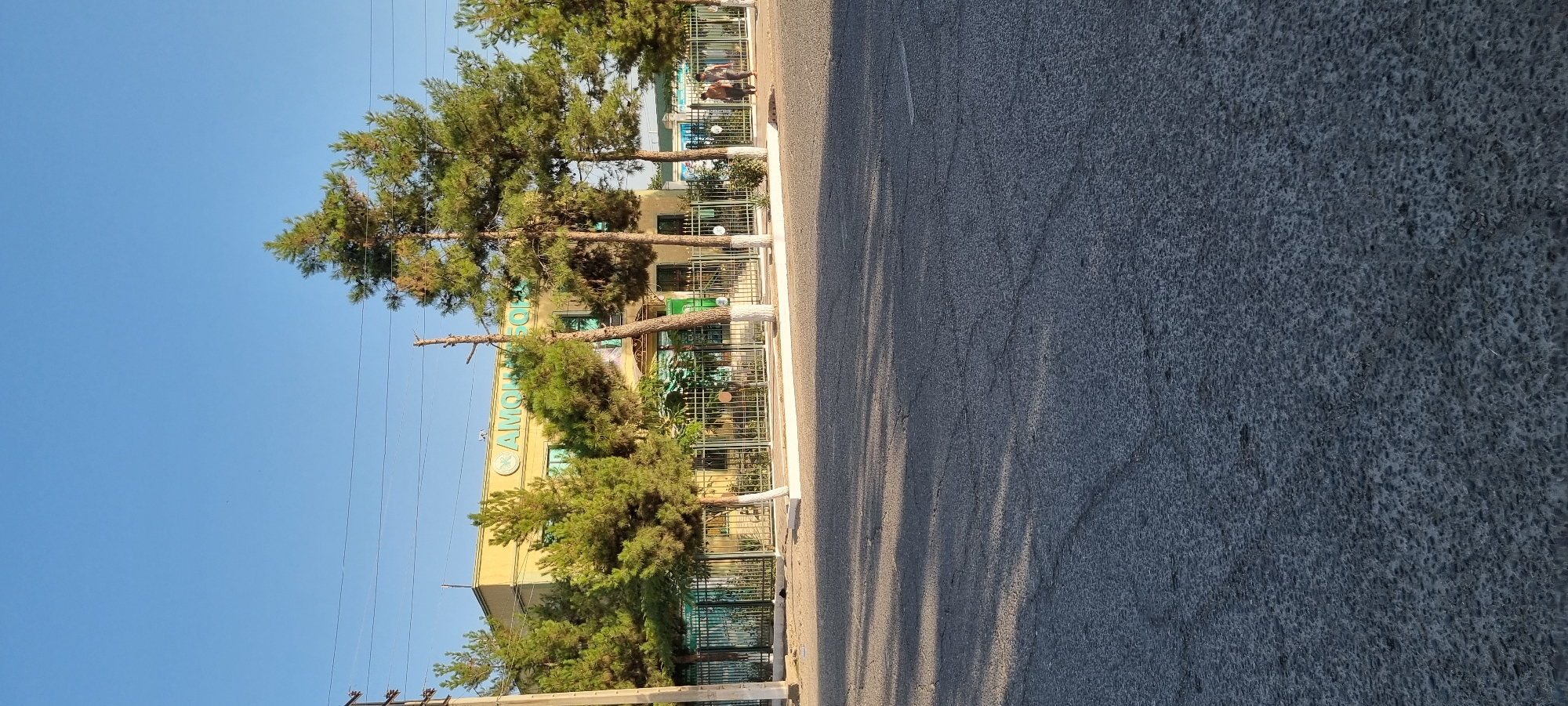 The image shows a street scene in the city of Ismoili Somoni, Tajikistan. A yellow building with the blue text "АМОЛ" is visible behind a fence and trees. The building appears to be a school or administrative building. Two people are walking on the sidewalk in front of the building. The street is paved with asphalt, and there are trees along the sidewalk. The sky is clear and blue.